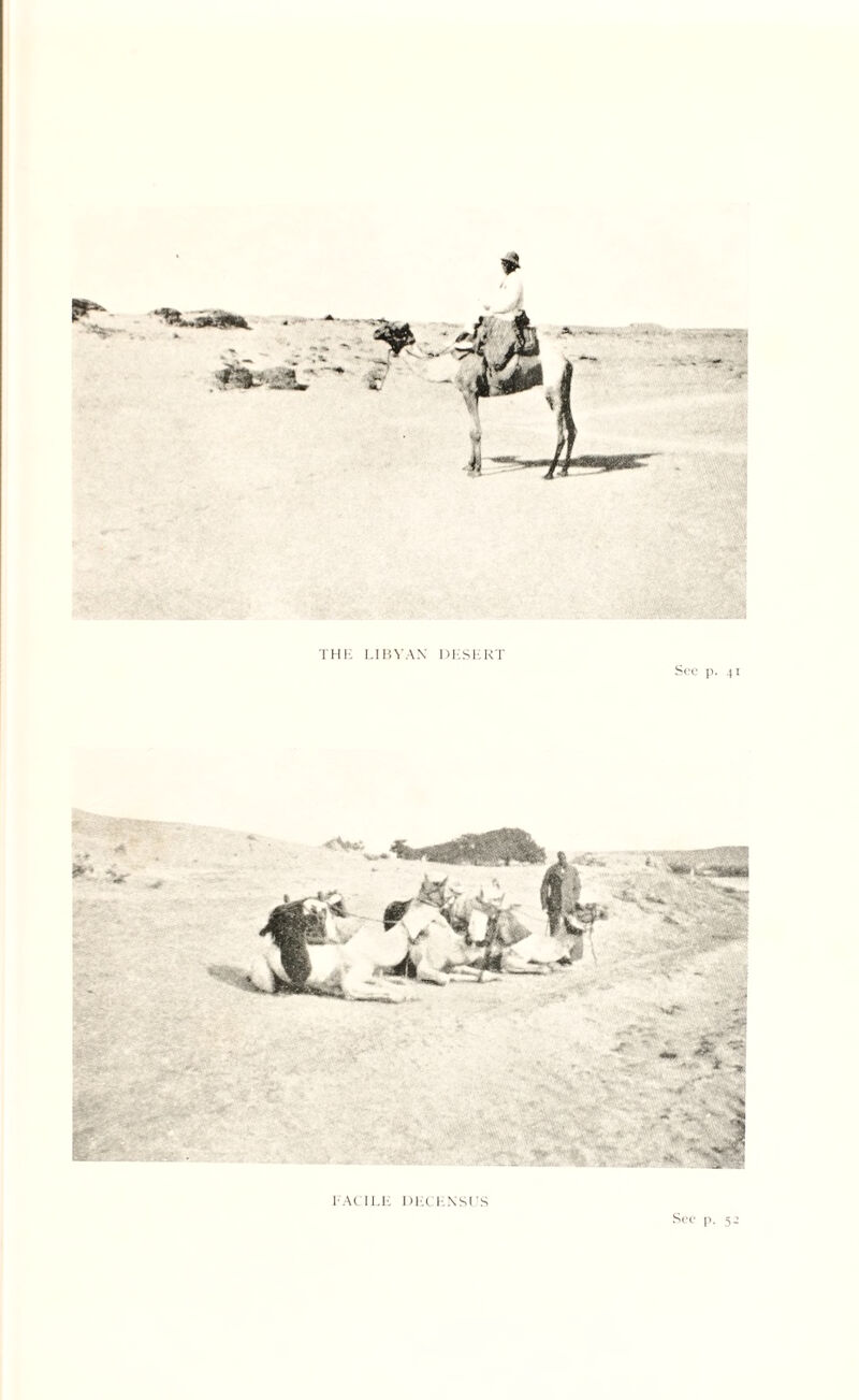 THE LIBYAN DESERT Sec p. 41 FACILE DEIENSUS am