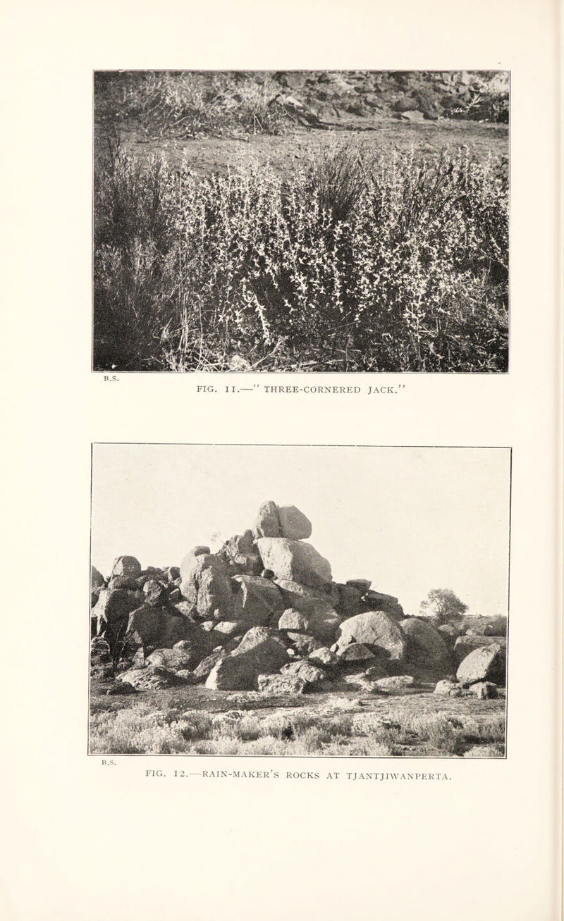 FIG. 12.-RAIN-MAKER’s ROCKS AT TJANTJIWANPERTA