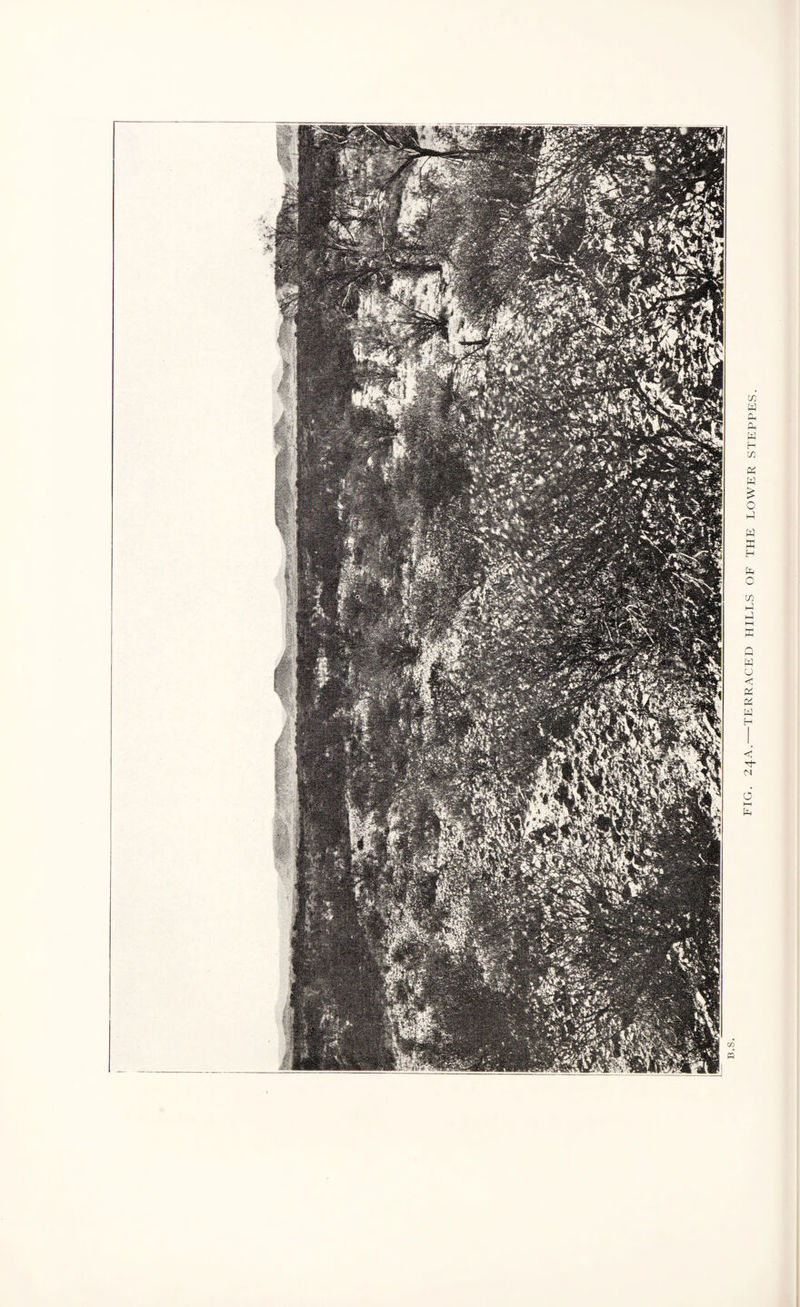 FIG. 24A.-TERRACED HILLS OF THE LOWER STEPPES.