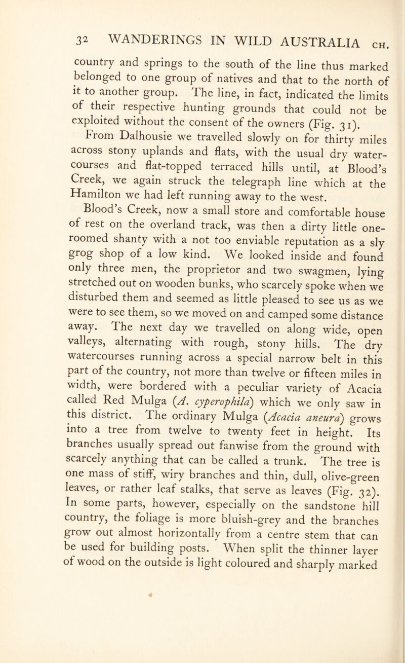 country and spiings to the south of the line thus marked belonged to one group of natives and that to the north of it to another group. The line, in fact, indicated the limits of their respective hunting grounds that could not be exploited without the consent of the owners (Fig. 31). From Dalhousie we travelled slowly on for thirty miles across stony uplands and flats, with the usual dry water¬ courses and flat-topped terraced hills until, at Blood’s Creek, we again struck the telegraph line which at the Hamilton we had left running away to the west. Blood’s Creek, now a small store and comfortable house of rest on the overland track, was then a dirty little one- roomed shanty with a not too enviable reputation as a sly grog shop of a low kind. We looked inside and found only three men, the proprietor and two swagmen, lying stretched out on wooden bunks, who scarcely spoke when we disturbed them and seemed as little pleased to see us as we were to see them, so we moved on and camped some distance away. The next day we travelled on along wide, open valleys, alternating with rough, stony hills. The dry watercourses running across a special narrow belt in this part of the country, not more than twelve or fifteen miles in width, were bordered with a peculiar variety of Acacia called Red Mulga (A. cyperophila) which we only saw in this district. The ordinary IVIulga (Acacia aaicuraj grows into a tree from twelve to twenty feet in height. Its branches usually spread out fanwise from the ground with scarcely anything that can be called a trunk. The tree is one mass of stiff, wiry branches and thin, dull, olive-green leaves, or rather leaf stalks, that serve as leaves (Fig. 32). In some parts, however, especially on the sandstone hill country, the foliage is more bluish-grey and the branches grow out almost horizontally from a centre stem that can be used for building posts. When split the thinner layer of wood on the outside is light coloured and sharply marked