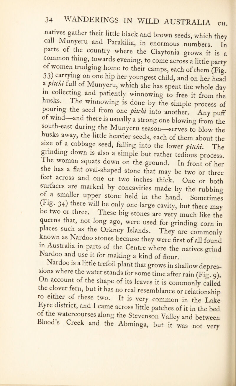 natives gather their little black and brown seeds, which they ca Munyeru and Parakilia, in enormous numbers. In parts of the country where the Claytonia grows it is a common thing, towards evening, to come across a little party of women trudging home to their camps, each of them (Fig. 33) carrying on one hip her youngest child, and on her head a pitch full of Munyeru, which she has spent the whole day in collecting and patiently winnowing to free it from the husks. The winnowing is done by the simple process of pouring the seed from one pitch into another. Any puff of wind—and there is usually a strong one blowing from the south-east during the Munyeru season—serves to blow the husks away, the little heavier seeds, each of them about the size of a cabbage seed, falling into the lower pitch. The grinding down is also a simple but rather tedious process. The woman squats down on the ground. In front of her she has a flat oval-shaped stone that may be two or three feet across and one or two inches thick. One or both surfaces are marked by concavities made by the rubbing of a smaller upper stone held in the hand. Sometimes ( 34) there will be only one large cavity, but there may be two or three. These big stones are very much like the querns that, not long ago, were used for grinding corn in places such as the Orkney Islands. They are commonly known as Nardoo stones because they were first of all found in Australia in parts of the Centre where the natives grind Nardoo and use it for making a kind of flour. . Nard°° is a little trefoil plant that grows in shallow depres¬ sions where the water stands for some time after rain (Fig. 9). On account of the shape of its leaves it is commonly called the clover fern, but it has no real resemblance or relationship to either of these two. It is very common in the Lake yie district, and I came across little patches of it in the bed of the watercourses along the Stevenson Valley and between Bloods Creek and the Abminga, but it was not very