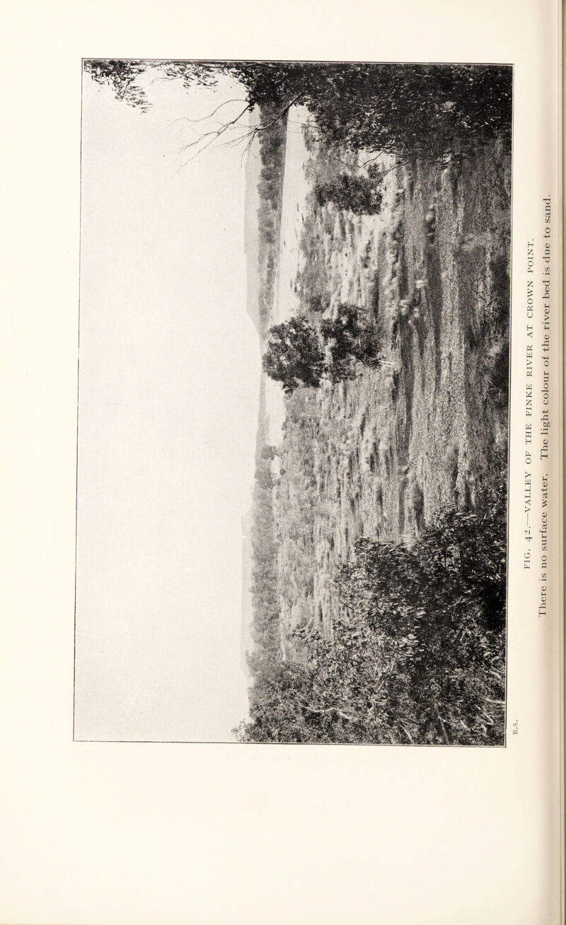 FIG. 42.-VALLEY OF THE FINKE RIVER AT CROWN POINT. 1'liere is no surface water. The light colour of the river bed is due to sand.