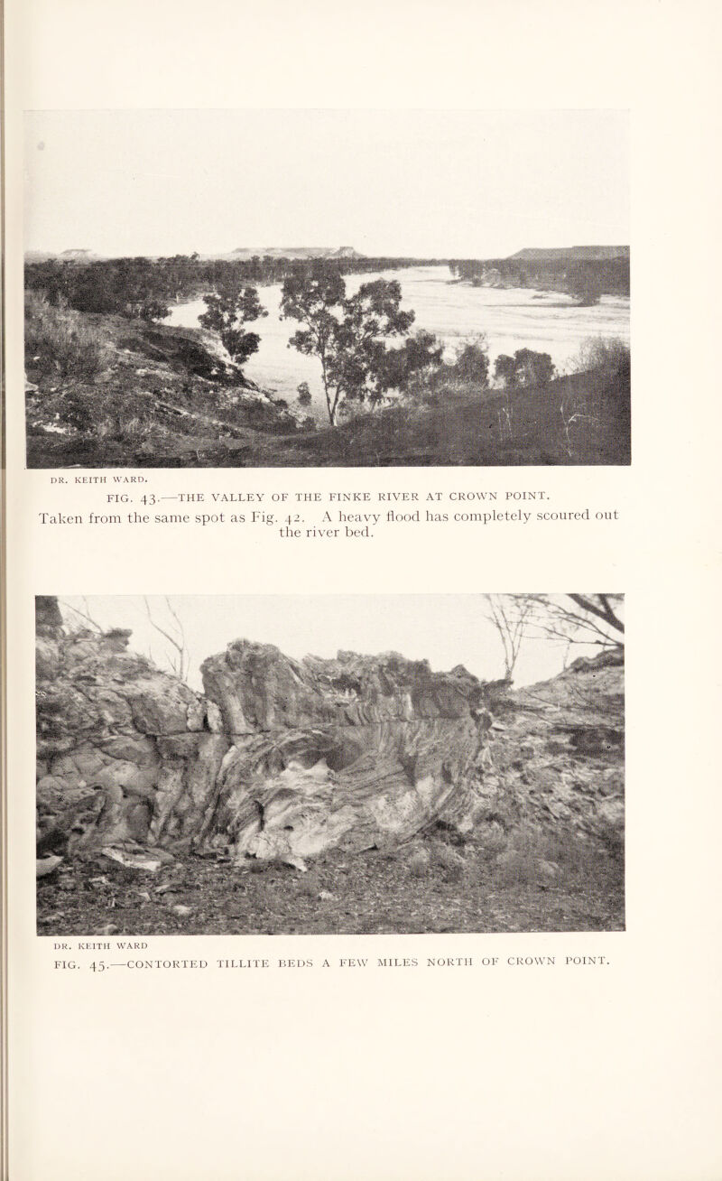DR. KEITH WARD. FIG. 43.-THE VALLEY OF THE FINKE RIVER AT CROWN POINT. Taken from the same spot as Fig. 42. A heavy flood has completely scoured out the river bed. DR. KEITH WARD FIG. 45.-CONTORTED TILLITE BEDS A FEW MILES NORTH OF CROWN POINT.