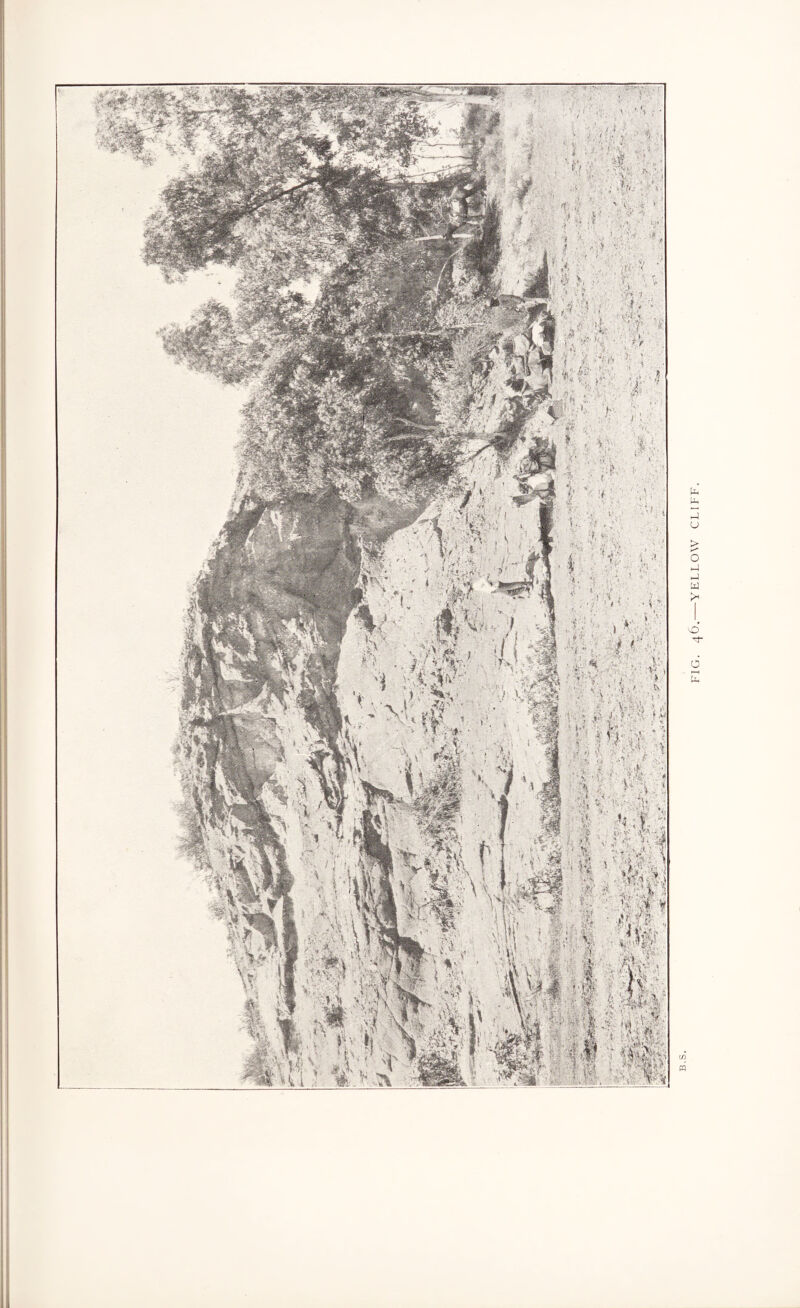FIG. 46.-YELLOW CLIFF