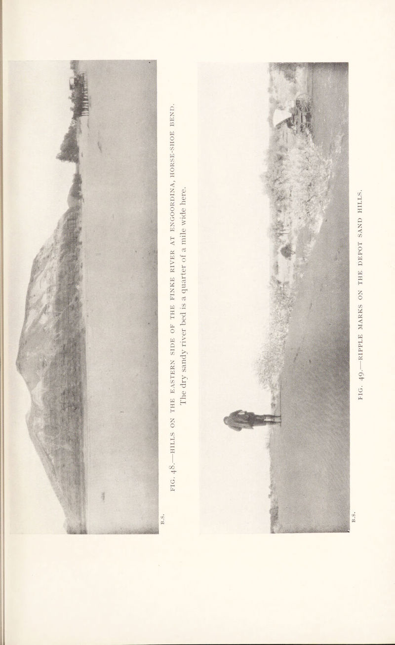 c/i PQ PIG. 49.-RIPPLE MARKS ON THE DEPOT SAND HILLS.