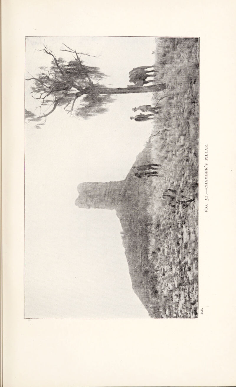 FIG. 51.-CHAMBER S PILLAR.