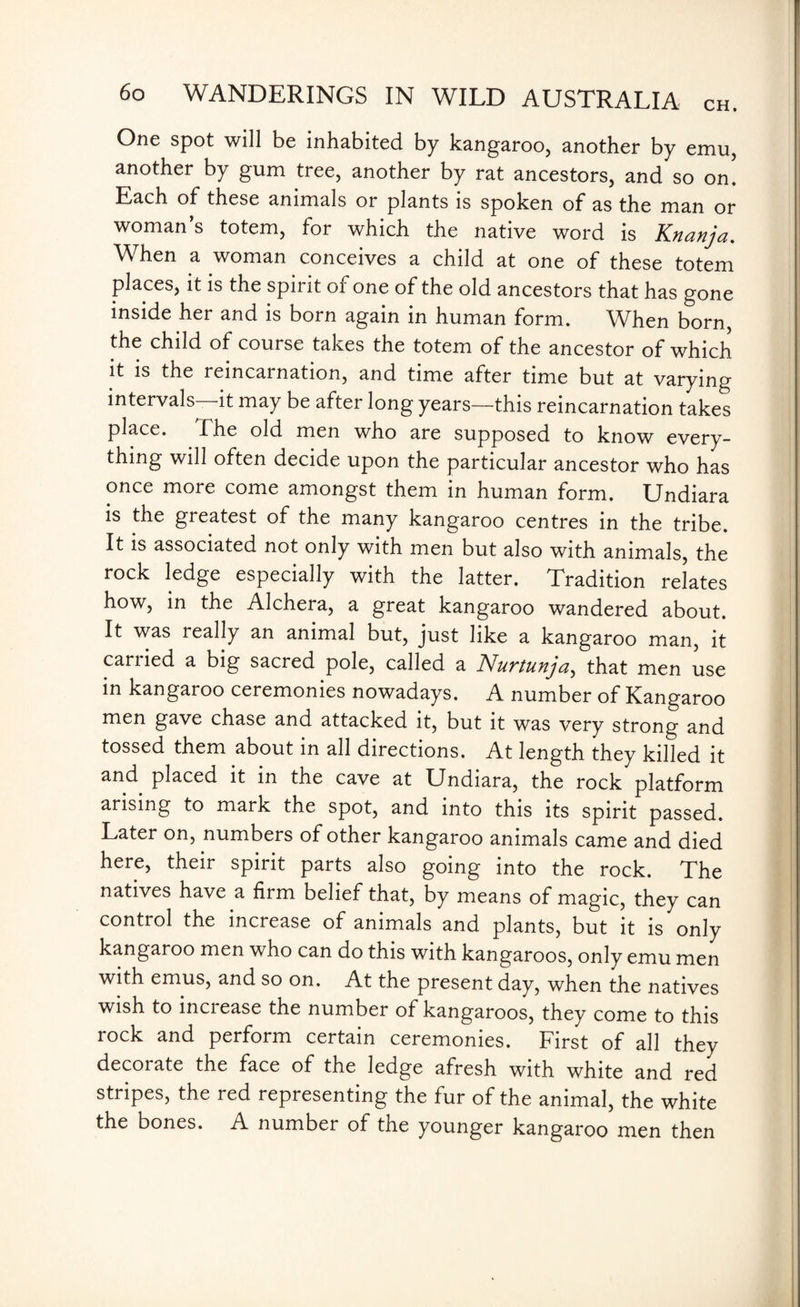 One spot will be inhabited by kangaroo, another by emu, another by gum tree, another by rat ancestors, and so on. Each of these animals or plants is spoken of as the man or woman’s totem, for which the native word is Knanja. When a woman conceives a child at one of these totem places, it is the spirit of one of the old ancestors that has gone inside her and is born again in human form. When born, the child of course takes the totem of the ancestor of which it is the reincarnation, and time after time but at varying intervals—it may be after long years—this reincarnation takes place. fhe old men who are supposed to know every¬ thing will often decide upon the particular ancestor who has once more come amongst them in human form. Undiara is the greatest of the many kangaroo centres in the tribe. It is associated not only with men but also with animals, the rock ledge especially with the latter. Tradition relates how, in the Alchera, a great kangaroo wandered about. It was really an animal but, just like a kangaroo man, it carried a big sacred pole, called a Nurtunja, that men use in kangaroo ceremonies nowadays. A number of Kangaroo men gave chase and attacked it, but it was very strong and tossed them about in all directions. At length they killed it and placed it in the cave at Undiara, the rock platform arising to mark the spot, and into this its spirit passed. Later on, numbers of other kangaroo animals came and died here, their spirit parts also going into the rock. The natives have a firm belief that, by means of magic, they can control the increase of animals and plants, but it is only kangaroo men who can do this with kangaroos, only emu men with emus, and so on. At the present day, when the natives wish to increase the number of kangaroos, they come to this rock and perform certain ceremonies. First of all they decorate the face of the ledge afresh with white and red stripes, the red representing the fur of the animal, the white the bones. A number of the younger kangaroo men then