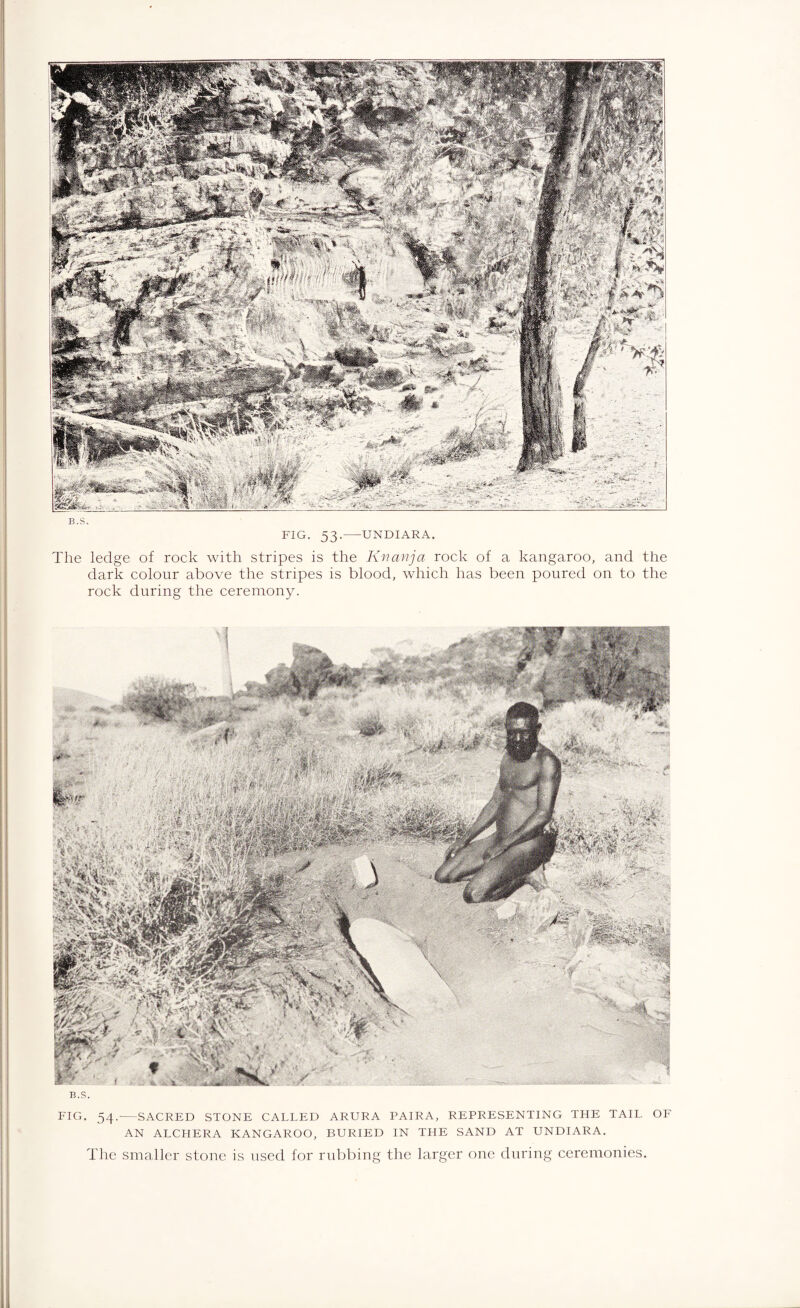 B.S. FIG. 53.-UNDIARA. The ledge of rock with stripes is the Kwanja rock of a kangaroo, and the dark colour above the stripes is blood, which has been poured on to the rock during the ceremony. B.S. FIG. 54.-SACRED STONE CALLED ARURA PAIRA, REPRESENTING THE TAIL OF AN ALCHERA KANGAROO, BURIED IN THE SAND AT UNDIARA. The smaller stone is used for rubbing the larger one during ceremonies.