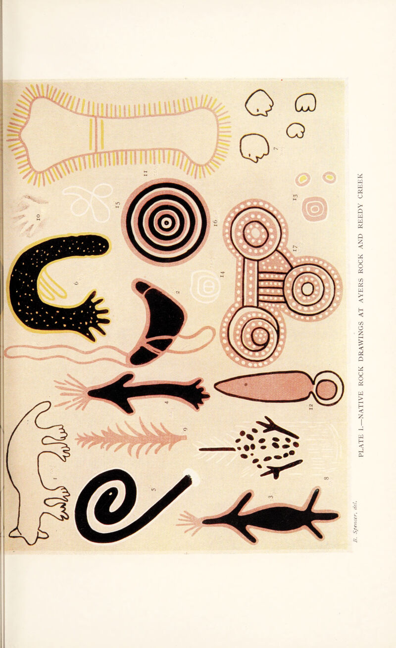 PLATE I.—NATIVE ROCK DRAWINGS AT AYERS ROCK AND REEDY CREEK