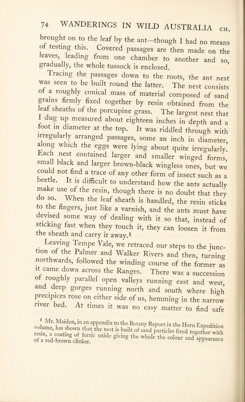 brought on to the leaf by the ant-though I had no means of testing this. Covered passages are then made on the eaves leadmg from one chamber to another and so gradually, the whole tussock is enclosed. Tracing the passages down to the roots, the ant nest was seen to be built round the latter. The nest consists of a roughly conical mass of material composed of sand grains firmly fixed together by resin obtained from the leaf sheaths of the porcupine grass. The largest nest that 1 dug up measured about eighteen inches in depth and a oot in diameter at the top. It was riddled through with irregularly arranged passages, some an inch in diameter along which the eggs were lying about quite irregularly. Each nest contained larger and smaller winged forms small black and larger brown-black wingless ones, but we cou d not find a trace of any other form of insect such as a eetle. It is difficult to understand how the ants actually make use of the resin, though there is no doubt that they do so. When the leaf sheath is handled, the resin sticks to the fingers, just like a varnish, and the ants must have evised some way of dealing with it so that, instead of staking fast when they touch it, they can loosen it from the sheath and carry it away.-*- . LeaJlng Tempe Vale, we retraced our steps to the junc¬ tion of the Palmer and Walker Rivers and then, turning noithwards, followed the winding course of the former as it came down across the Ranges. There was a succession o rougiy parallel open valleys running east and west and deep gorges running north and south where high precipices rose on either side of us, hemming in the narrow river bed. At times it was no easy matter to find safe 1 Mr. Maiden, in an appendix to the Botany Report in the Horn jv volume, has shown that the nest is built of sand particles fixed togetWwith