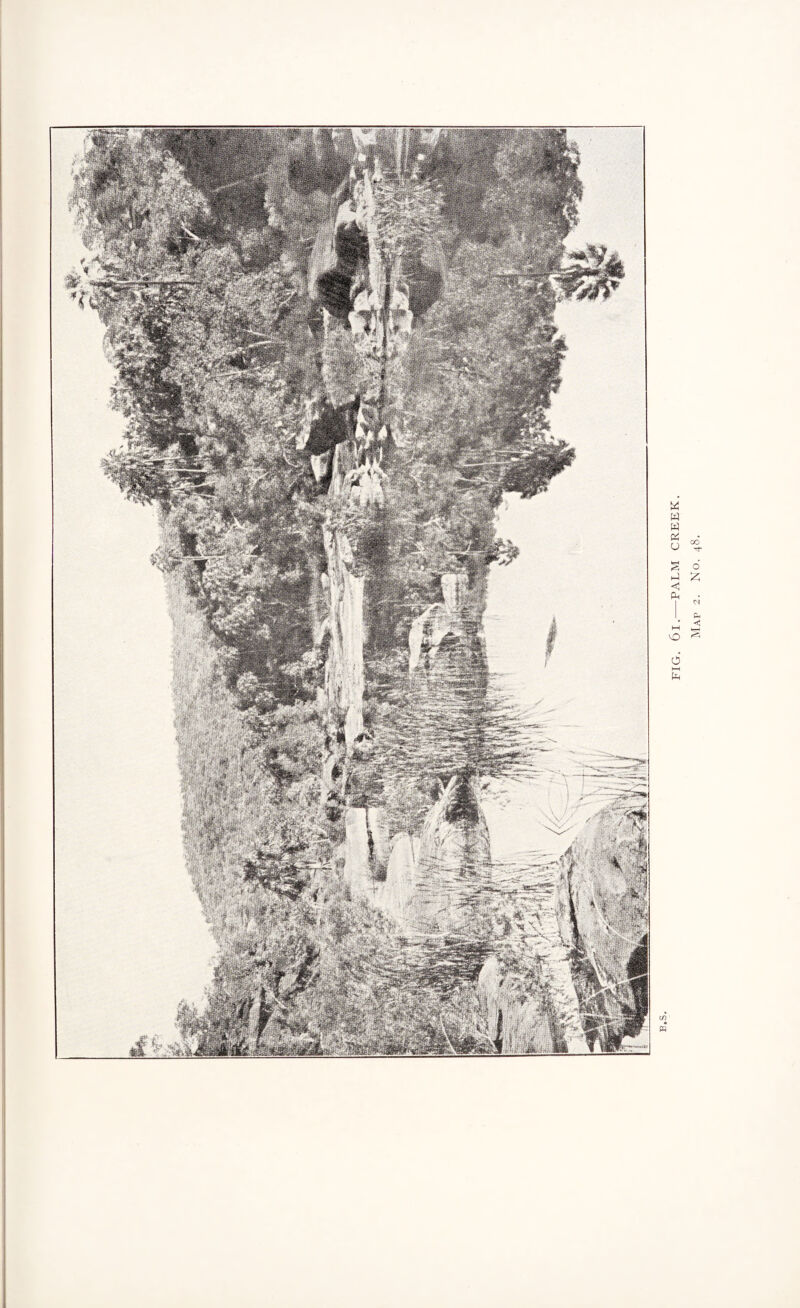 FIG. 6l.-PALM CREEK.