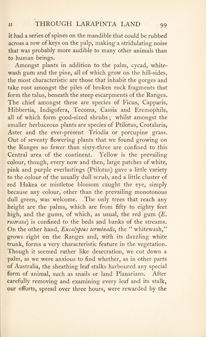 it had a series of spines on the mandible that could be rubbed across a row of keys on the palp, making a stridulating noise that was probably more audible to many other animals than to human beings. Amongst plants in addition to the palm, cycad, white¬ wash gum and the pine, all of which grow on the hill-sides, the most characteristic are those that inhabit the gorges and take root amongst the piles of broken rock fragments that form the talus, beneath the steep escarpments of the Ranges. The chief amongst these are species of Ficus, Capparis, Hibbertia, Indigofera, Tecoma, Cassia and Eremophila, all of which form good-sized shrubs ; whilst amongst the smaller herbaceous plants are species of Ptilotus, Crotalaria, Aster and the ever-present Triodia or porcupine grass. Out of seventy flowering plants that we found growing on the Ranges no fewer than sixty-three are confined to this Central area of the continent. Yellow is the prevailing colour, though, every now and then, large patches of white, pink and purple everlastings (Ptilotus) gave a little variety to the colour of the usually dull scrub, and a little cluster of red Hakea or mistletoe blossom caught the eye, simply because any colour, other than the prevailing monotonous dull green, was welcome. The only trees that reach any height are the palms, which are from fifty to eighty feet high, and the gums, of which, as usual, the red gum (£. rostrata) is confined to the beds and banks of the streams. On the other hand, Eucalyptus terminalis> the “ whitewash,” grows right on the Ranges and, with its dazzling white trunk, forms a very characteristic feature in the vegetation. Though it seemed rather like desecration, we cut down a palm, as we were anxious to find whether, as in other parts of Australia, the sheathing leaf stalks harboured any special form of animal, such as snails or land Planarians. After carefully removing and examining every leaf and its stalk, our efforts, spread over three hours, were rewarded by the
