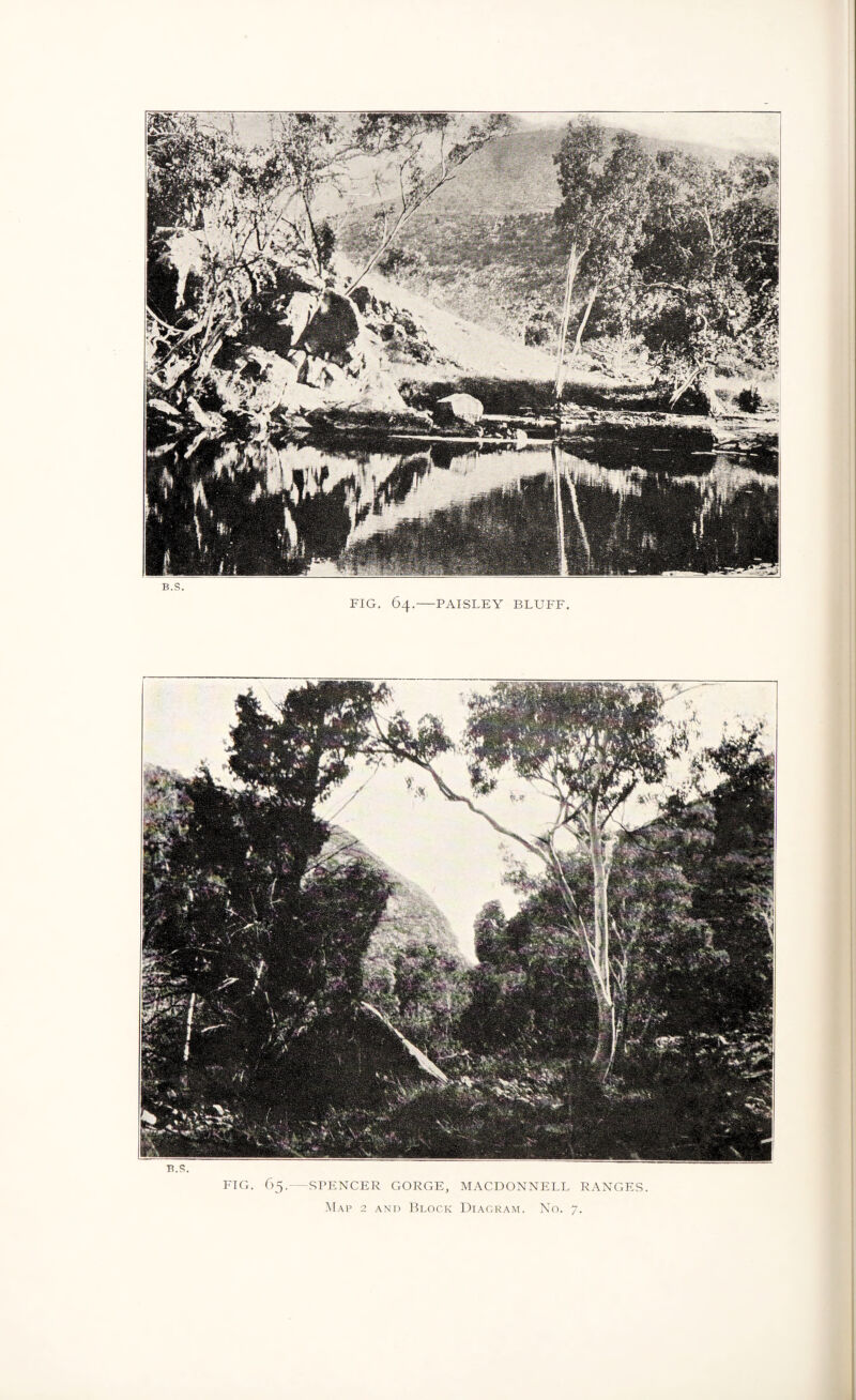 B.S. FIG. 64.-PAISLEY BLUFF. SPENCER GORGE, MACDONNELL RANGES.