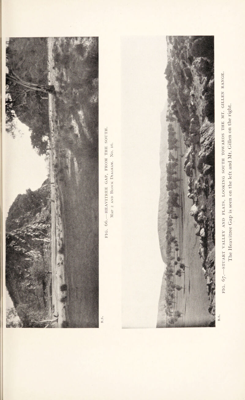 FIG. 67.-STUART VALLEY AND FLATS, LOOKING SOUTH TOWARDS THE MT. GILLEN RANGE. The Heavitree Gap is seen on the left and Mt. Gillen on the right.