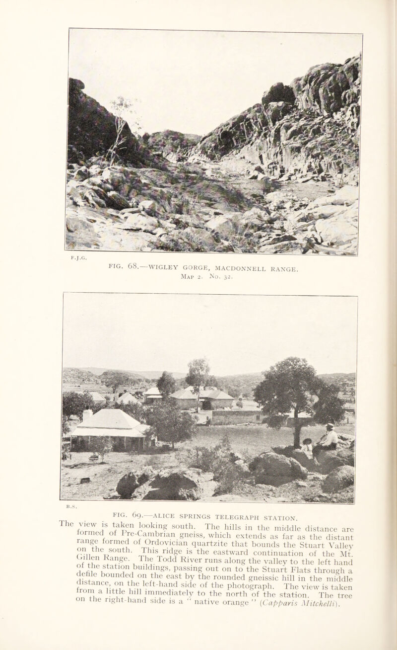 FIG. 68. WIGLEY GORGE, MACDONNELL RANGE. Map 2. No. 32. FIG- 69. ALICE SPRINGS TELEGRAPH STATION Th0 fnnnJSnfap '“ r00^? S°uth: The hills in the middle distance are of Pre-Cambnan gneiss, which extends as far as the distant an e formed of Ordovician quartzite that bounds the Stuart Valley the south- J hjs ridge is the eastward continuation of the Mt. Oillen Range. I he 1 odd River runs along the valley to the left hand dU i atl°n buddings, passing out on to the Stuart Flats through a fhhiin )OUnC e+(| ihf ea^ by the rounded gneissic hill in the middle fmlTlim Vm eft_haild slde of the photograph. The view is taken from a little hill immediately to the north of the station. The tree tlie right-hand side is a “ native orange’' (Capparis Mitchelli).