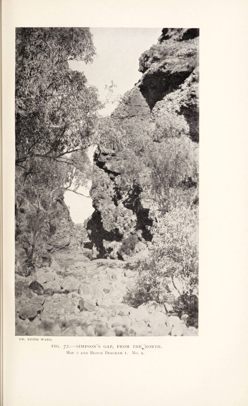 DR. KEITH WARD. FIG. 72.--SIMPSON’S GAP, FROM THE^NORTH.