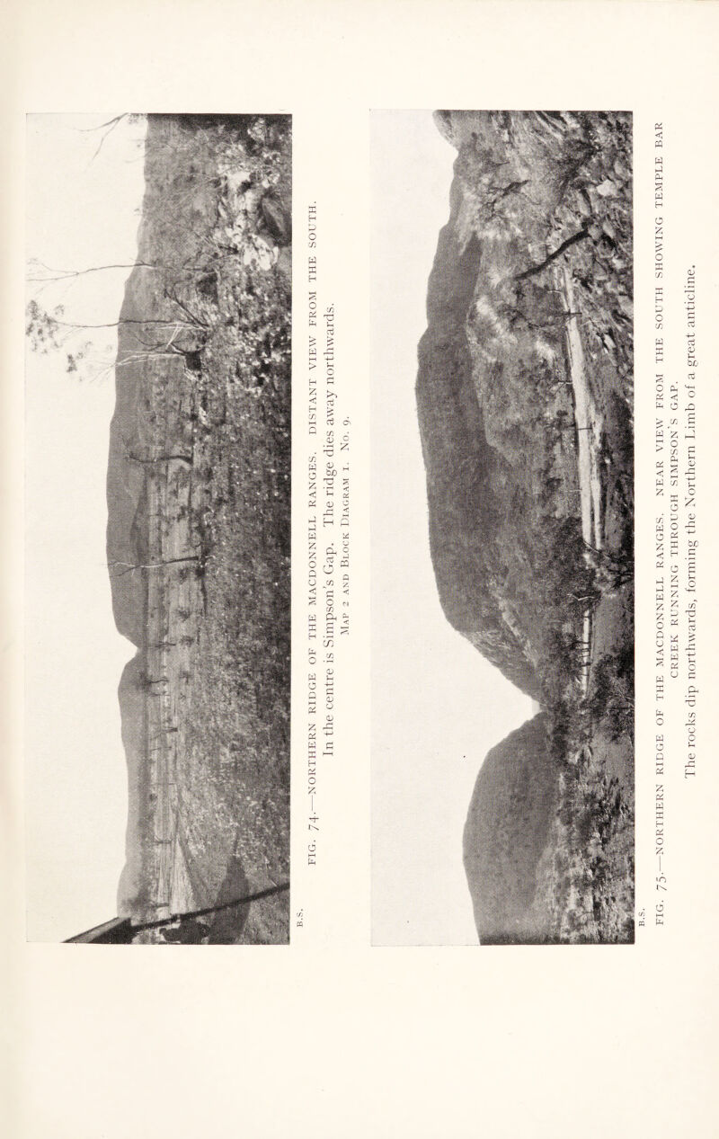 bjo V s ^ 0-j Pi 9 ^ r~j ^ ^ H £ W W ^7 . O § g-s °> Q ° Q o w g S O M w K P O o Q HH Pi Z Pi W X H Pi O £ FIG. 75.-NORTHERN RIDGE OF THE MACDONNELL RANGES. NEAR VIEW FROM THE SOUTH SHOWING TEMPLE BAR CREEK RUNNING THROUGH SIMPSON’S GAP. The rocks dip northwards, forming the Northern Limb of a great anticline.