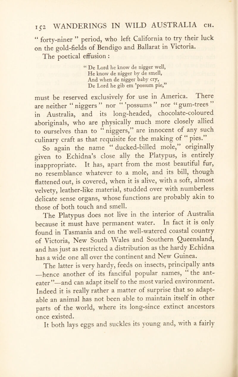 “ forty-niner ” period, who left California to try their luck on the gold-fields of Bendigo and Ballarat in Victoria. The poetical effusion : “ De Lord he know de nigger well, He know de nigger by de smell, And when de nigger baby cry, De Lord he gib em ’possum pie,” must be reserved exclusively for use in America. There are neither “niggers” nor “’possums nor ugum-trees in Australia, and its long-headed, chocolate-coloured aboriginals, who are physically much more closely allied to ourselves than to “ niggers,” are innocent of any such culinary craft as that requisite for the making of “ pies.” So again the name “ ducked-billed mole,” originally given to Echidna’s close ally the Platypus, is entirely inappropriate. It has, apart from the most beautiful fur, no resemblance whatever to a mole, and its bill, though flattened out, is covered, when it is alive, with a soft, almost velvety, leather-like material, studded over with numberless delicate sense organs, whose functions are probably akin to those of both touch and smell. The Platypus does not live in the interior of Australia because it must have permanent water. In fact it is only found in Tasmania and on the well-watered coastal country of Victoria, New South Wales and Southern Queensland, and has just as restricted a distribution as the hardy Echidna has a wide one all over the continent and New Guinea. The latter is very hardy, feeds on insects, principally ants —hence another of its fanciful popular names, “the ant- eater”__and can adapt itself to the most varied environment. Indeed it is really rather a matter of surprise that so adapt¬ able an animal has not been able to maintain itself in other parts of the world, where its long-since extinct ancestors once existed. It both lays eggs and suckles its young and, with a fairly