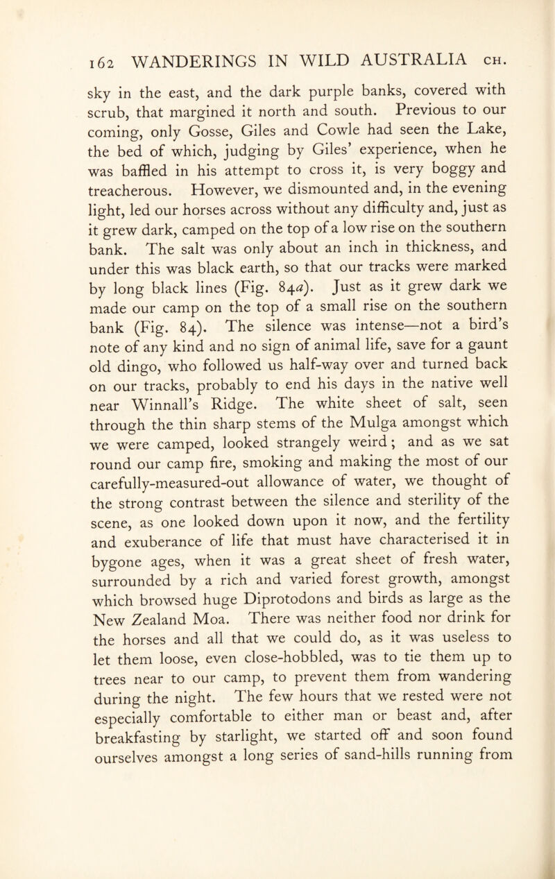 sky in the east, and the dark purple banks, covered with scrub, that margined it north and south. Previous to our coming, only Gosse, Giles and Cowle had seen the Lake, the bed of which, judging by Giles’ experience, when he was baffled in his attempt to cross it, is very boggy and treacherous. However, we dismounted and, in the evening light, led our horses across without any difficulty and, just as it grew dark, camped on the top of a low rise on the southern bank. The salt was only about an inch in thickness, and under this was black earth, so that our tracks were marked by long black lines (Fig. 84a). Just as it grew dark we made our camp on the top of a small rise on the southern bank (Fig. 84). The silence was intense—not a bird’s note of any kind and no sign of animal life, save for a gaunt old dingo, who followed us half-way over and turned back on our tracks, probably to end his days in the native well near Winnall’s Ridge. The white sheet of salt, seen through the thin sharp stems of the Mulga amongst which we were camped, looked strangely weird; and as we sat round our camp fire, smoking and making the most of our carefully-measured-out allowance of water, we thought of the strong contrast between the silence and sterility of the scene, as one looked down upon it now, and the fertility and exuberance of life that must have characterised it in bygone ages, when it was a great sheet of fresh water, surrounded by a rich and varied forest growth, amongst which browsed huge Diprotodons and birds as large as the New Zealand Moa. There was neither food nor drink for the horses and all that we could do, as it was useless to let them loose, even close-hobbled, was to tie them up to trees near to our camp, to prevent them from wandering during the night. The few hours that we rested were not especially comfortable to either man or beast and, after breakfasting by starlight, we started off and soon found ourselves amongst a long series of sand-hills running from