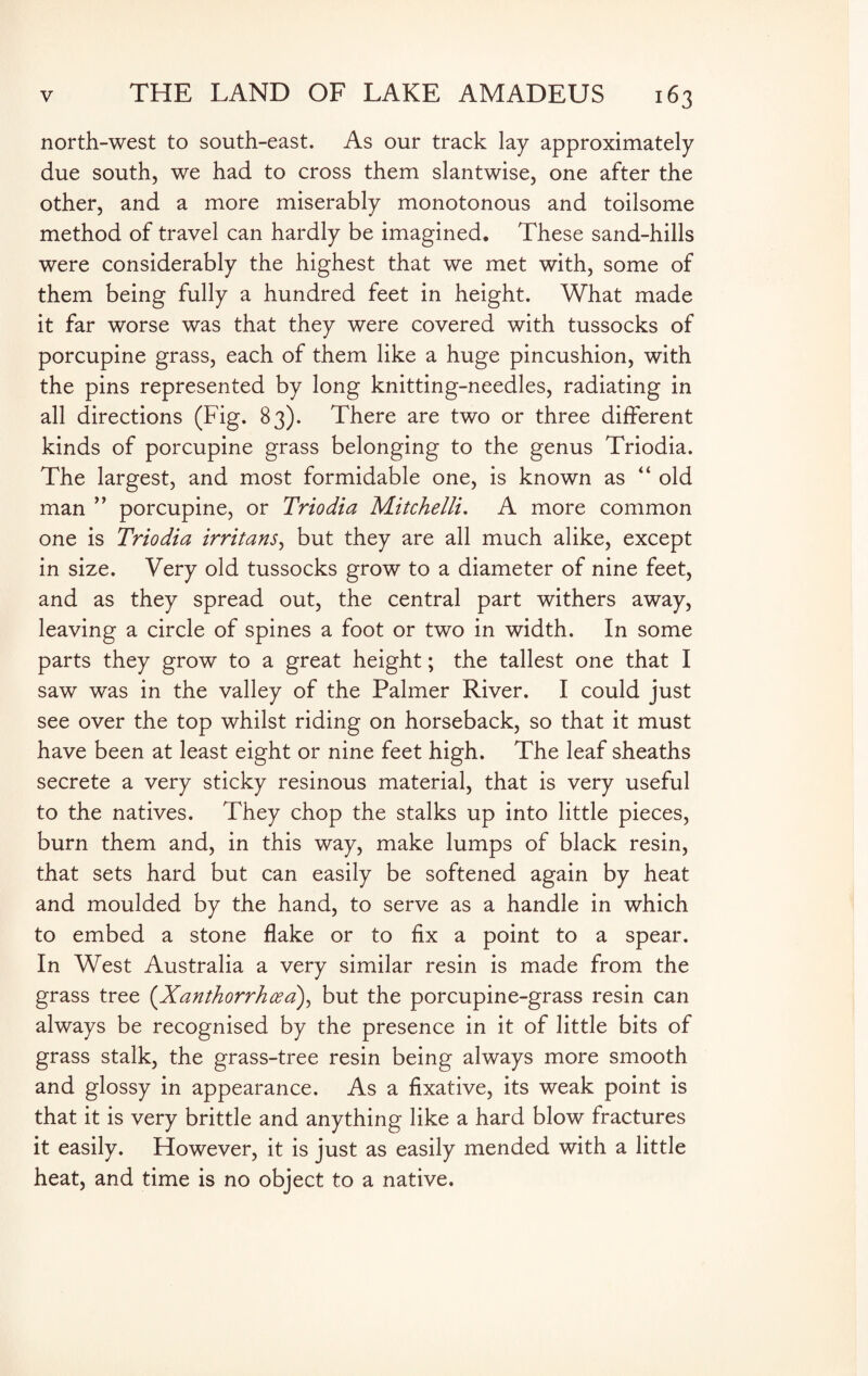 north-west to south-east. As our track lay approximately due south, we had to cross them slantwise, one after the other, and a more miserably monotonous and toilsome method of travel can hardly be imagined. These sand-hills were considerably the highest that we met with, some of them being fully a hundred feet in height. What made it far worse was that they were covered with tussocks of porcupine grass, each of them like a huge pincushion, with the pins represented by long knitting-needles, radiating in all directions (Fig. 83). There are two or three different kinds of porcupine grass belonging to the genus Triodia. The largest, and most formidable one, is known as “ old man ” porcupine, or Triodia Mitchelli. A more common one is Triodia irritans, but they are all much alike, except in size. Very old tussocks grow to a diameter of nine feet, and as they spread out, the central part withers away, leaving a circle of spines a foot or two in width. In some parts they grow to a great height; the tallest one that I saw was in the valley of the Palmer River. I could just see over the top whilst riding on horseback, so that it must have been at least eight or nine feet high. The leaf sheaths secrete a very sticky resinous material, that is very useful to the natives. They chop the stalks up into little pieces, burn them and, in this way, make lumps of black resin, that sets hard but can easily be softened again by heat and moulded by the hand, to serve as a handle in which to embed a stone flake or to fix a point to a spear. In West Australia a very similar resin is made from the grass tree ('Xanthorrhcea), but the porcupine-grass resin can always be recognised by the presence in it of little bits of grass stalk, the grass-tree resin being always more smooth and glossy in appearance. As a fixative, its weak point is that it is very brittle and anything like a hard blow fractures it easily. However, it is just as easily mended with a little heat, and time is no object to a native.