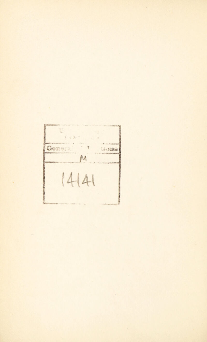 wBWfflWgwy#1' •vi- -*>