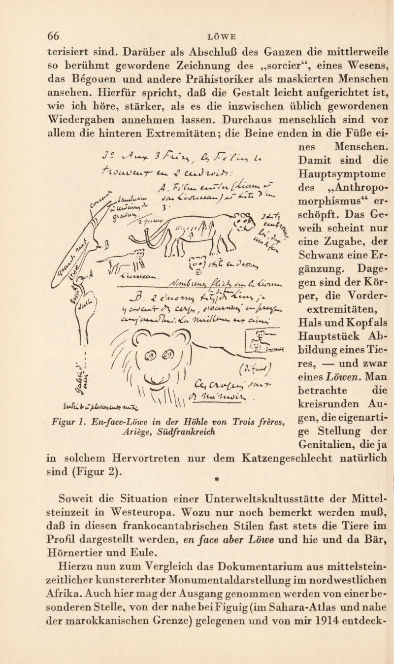 terisiert sind. Darüber als Abschluß des Ganzen die mittlerweile so berühmt gewordene Zeichnung des „sorcier44, eines Wesens, das Begouen und andere Prähistoriker als maskierten Menschen ansehen. Hierfür spricht, daß die Gestalt leicht aufgerichtet ist, wie ich höre, stärker, als es die inzwischen üblich gewordenen Wiedergaben annehmen lassen. Durchaus menschlich sind vor allem die hinteren Extremitäten; die Beine enden in die Füße ei- nes Menschen. 3 i ^ JTr'fU*, u Tu 3. </> \dr- & x •) /¥rC 2 Damit sind die Hauptsymptome des „Anthropo¬ morphismus46 er¬ schöpft. Das Ge- weih scheint nur eine Zugabe, der Schwanz eine Er¬ gänzung. Dage¬ gen sind der Kör¬ per, die Vorder¬ extremitäten, Hals und Kopf als Hauptstück Ab¬ bildung eines Tie¬ res, — und zwar eines Löwen. Man betrachte die kreisrunden Au¬ gen, die eigenarti¬ ge Stellung der Genitalien, die ja in solchem Hervortreten nur dem Katzengeschlecht natürlich sind (Figur 2), _AAutfiu±tc fc. lA c/u, A. 'tun.u-^. -T- '.•Au. 'l'Uu.'JCU.i-4^; V ivlu v Jjjului, UOy ^ Dt ) Gl^ c<h*uf 3) yi'tudL\>k Figur 1. En-face-Löwe in der Höhle von Trois fr er es, Ariege, Südfrankreich Soweit die Situation einer Unterweltskultusstätte der Mittel¬ steinzeit in Westeuropa. Wozu nur noch bemerkt werden muß, daß in diesen frankocantabrischen Stilen fast stets die Tiere im Profil dargestellt werden, en face aber Löwe und hie und da Bär, Hörnertier und Eule. Hierzu nun zum Vergleich das Dokumentarium aus mittelstein¬ zeitlicher kunstererbter Monumentaldarstellung im nordwestlichen Afrika. Auch hier mag der Ausgang genommen werden von einer be¬ sonderen Stelle, von der nahe bei Figuig (im Sahara-Atlas undnahe der marokkanischen Grenze) gelegenen und von mir 1914 entdeck-