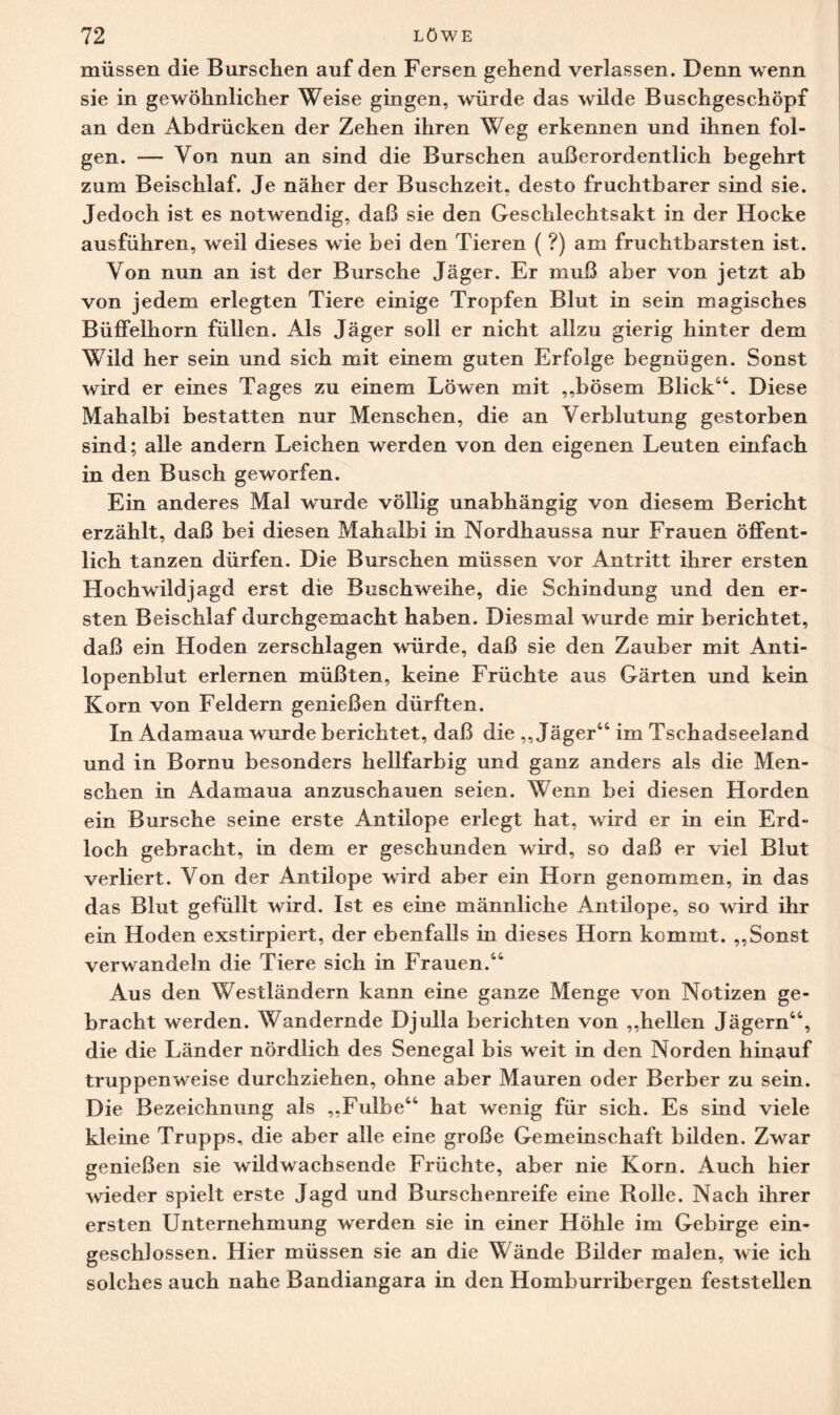 müssen die Burschen auf den Fersen gehend verlassen. Denn wenn sie in gewöhnlicher Weise gingen, würde das wilde Buschgeschöpf an den Abdrücken der Zehen ihren Weg erkennen und ihnen fol¬ gen. — Von nun an sind die Burschen außerordentlich begehrt zum Beischlaf. Je näher der Buschzeit, desto fruchtbarer sind sie. Jedoch ist es notwendig, daß sie den Geschlechtsakt in der Hocke ausführen, weil dieses wie bei den Tieren ( ?) am fruchtbarsten ist. Von nun an ist der Bursche Jäger. Er muß aber von jetzt ab von jedem erlegten Tiere einige Tropfen Blut in sein magisches Büffelhorn füllen. Als Jäger soll er nicht allzu gierig hinter dem Wild her sein und sich mit einem guten Erfolge begnügen. Sonst wird er eines Tages zu einem Löwen mit „bösem Blick44. Diese Mahalbi bestatten nur Menschen, die an Verblutung gestorben sind; alle andern Leichen werden von den eigenen Leuten einfach in den Busch geworfen. Ein anderes Mal wurde völlig unabhängig von diesem Bericht erzählt, daß bei diesen Mahalbi in Nordhaussa nur Frauen öffent¬ lich tanzen dürfen. Die Burschen müssen vor Antritt ihrer ersten Hochwildjagd erst die Busch weihe, die Schindung und den er¬ sten Beischlaf durchgemacht haben. Diesmal wurde mir berichtet, daß ein Hoden zerschlagen würde, daß sie den Zauber mit Anti¬ lopenblut erlernen müßten, keine Früchte aus Gärten und kein Korn von Feldern genießen dürften. In Adamaua wurde berichtet, daß die „Jäger44 im Tschadseeland und in Bornu besonders hellfarbig und ganz anders als die Men¬ schen in Adamaua anzuschauen seien. Wenn bei diesen Horden ein Bursche seine erste Antilope erlegt hat, wird er in ein Erd¬ loch gebracht, in dem er geschunden wird, so daß er viel Blut verliert. Von der Antilope wird aber ein Horn genommen, in das das Blut gefüllt wird. Ist es eine männliche Antilope, so wird ihr ein Hoden exstirpiert, der ebenfalls in dieses Horn kommt. „Sonst verwandeln die Tiere sich in Frauen.44 Aus den Westländern kann eine ganze Menge von Notizen ge¬ bracht werden. Wandernde Djulla berichten von „hellen Jägern44, die die Länder nördlich des Senegal bis weit in den Norden hinauf truppenweise durchziehen, ohne aber Mauren oder Berber zu sein. Die Bezeichnung als „Fulbe44 hat wenig für sich. Es sind viele kleine Trupps, die aber alle eine große Gemeinschaft bilden. Zwar genießen sie wildwachsende Früchte, aber nie Korn. Auch hier wieder spielt erste Jagd und Burschenreife eine Rolle. Nach ihrer ersten Unternehmung werden sie in einer Höhle im Gebirge ein¬ geschlossen. Hier müssen sie an die Wände Bilder malen, wie ich solches auch nahe Bandiangara in den Homburribergen feststellen