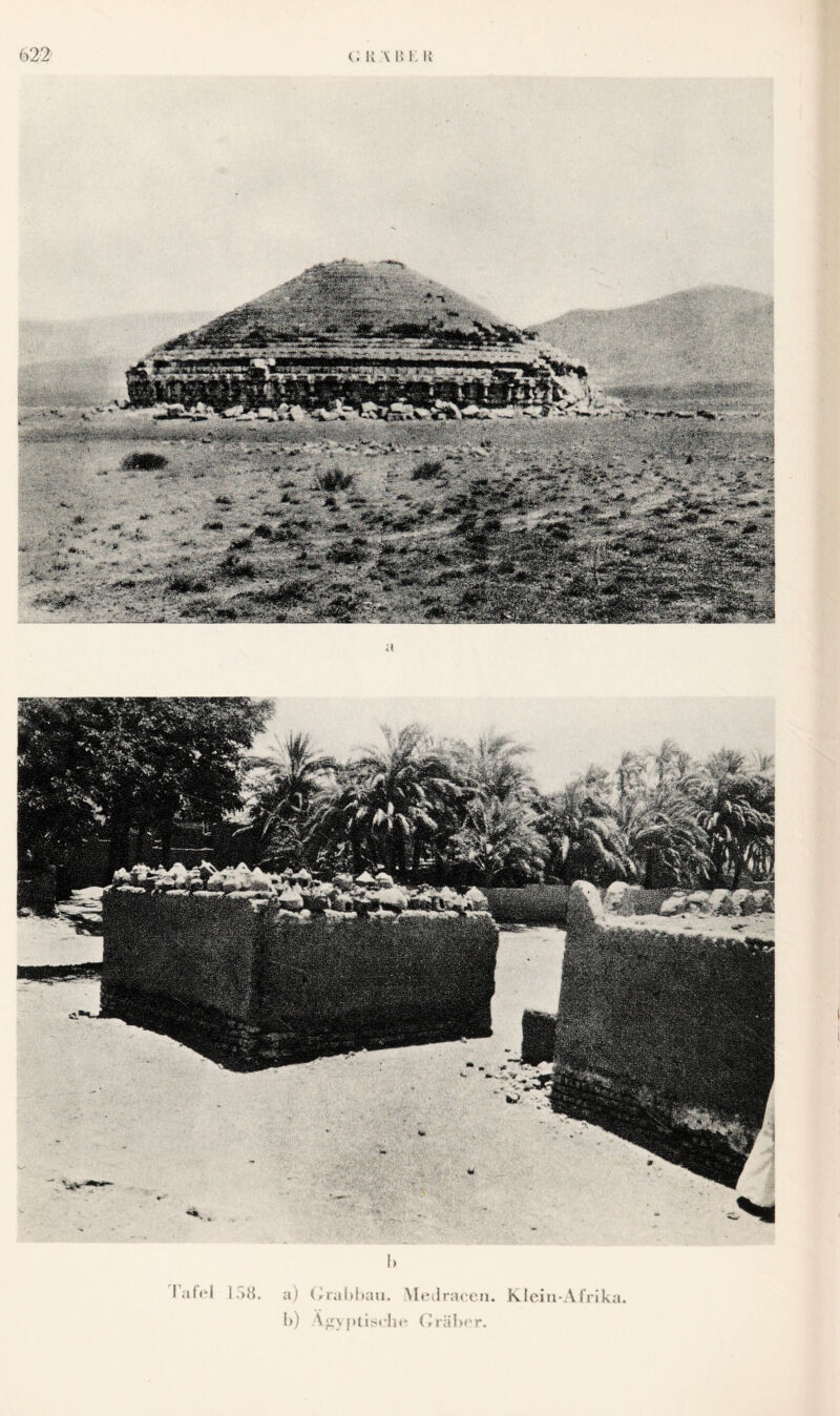 <Y22 c. r \ i‘. i; i