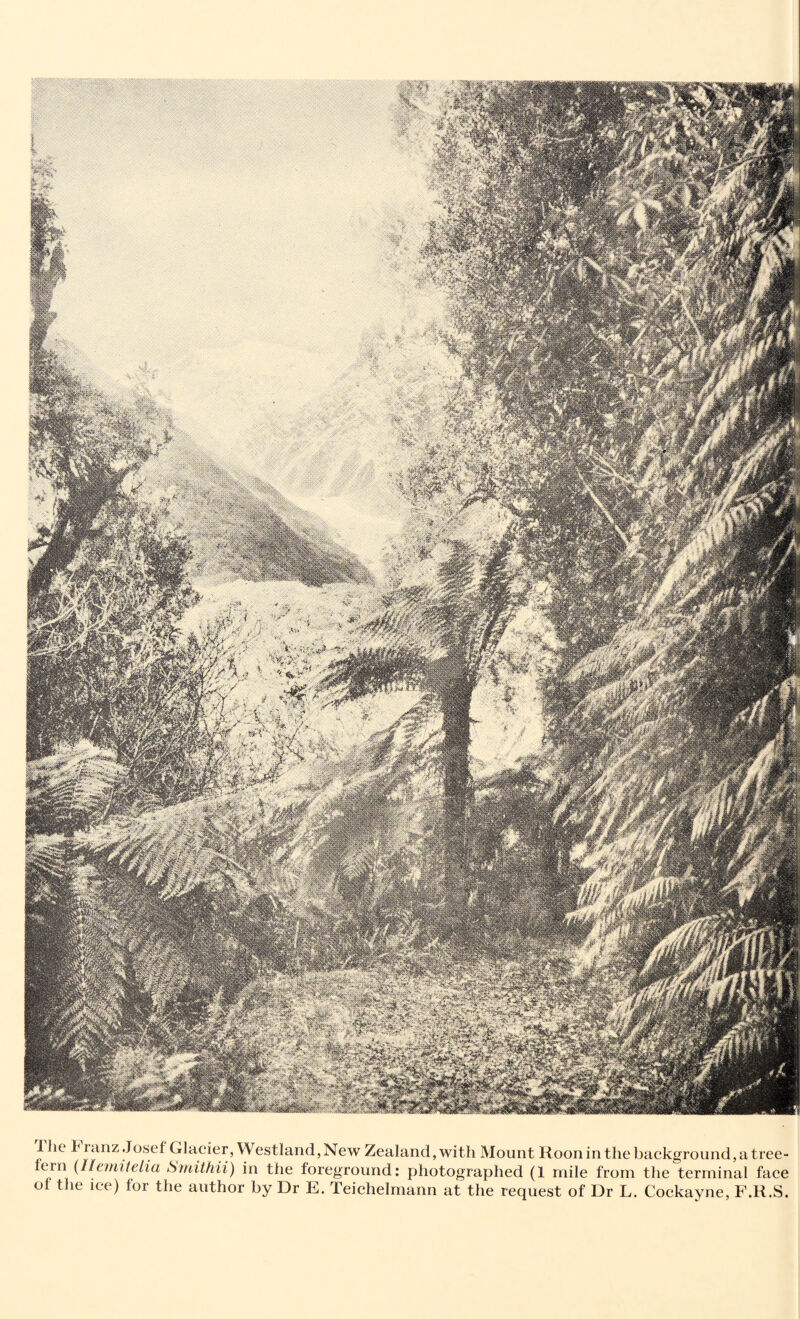 Ihe I1 ranz Josef Glacier, Westland, New Zealand,with Mount Roon in the background, a tree- fern (Heniitelia Smithii) in the foreground: photographed (1 mile from the terminal face of the ice) for the author by Dr E. Teichelmann at the request of Dr L. Cockayne, F.R.S.