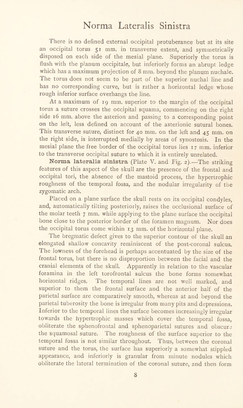 There is no defined external occipital protuberance but at its site an occipital torus 51 mm. in transverse extent, and symmetrically disposed on each side of the mesial plane. Superiorly the torus is flush with the planum occipitale, but inferiorly forms an abrupt ledge which has a maximum projection of 8 mm. beyond the planum nuchale. The torus does not seem to be part of the superior nuchal line and has no corresponding curve, but is rather a horizontal ledge whose rough inferior surface overhangs the line. At a maximum of 19 mm. superior to the margin of the occipital torus a suture crosses the occipital squama, commencing on the right side 16 mm. above the asterion and passing to a corresponding point on the left, less defined on account of the asterionic sutural bones. This transverse suture, distinct for 40 mm. on the left and 45 mm. on the right side, is interrupted medially by areas of synostosis. In the mesial plane the free border of the occipital torus lies 17 mm. inferior to the transverse occipital suture to which it is entirely unrelated. Norma lateralis sinistra (Plate V. and Fig. 2).—The striking features of this aspect of the skull are the presence of the frontal and occipital tori, the absence of the mastoid process, the hypertrophic roughness of the temporal fossa, and the nodular irregularity of the zygomatic arch. Placed on a plane surface the skull rests on its occipital condyles, and, automatically tilting posteriorly, raises the occlusional surface of the molar teeth 7 mm. while applying to the plane surface the occipital bone close to the posterior border of the foramen magnum. Nor does the occipital torus come within 13 mm. of the horizontal plane. The bregmatic defect gives to the superior contour of the skull an elongated shallow concavity reminiscent of the post-coronal sulcus. The lowness of the forehead is perhaps accentuated by the size of the frontal torus, but there is no disproportion between the facial and the cranial elements of the skull. Apparently in relation to the vascular foramina in the left torofrontal sulcus the bone forms somewhat horizontal ridges. The temporal lines are not well marked, and superior to them the frontal surface and the anterior half of the parietal surface are comparatively smooth, whereas at and beyond the parietal tuberosity the bone is irregular from many pits and depressions. Inferior to the temporal lines the surface becomes increasingly irregular towards the hypertrophic masses which cover the temporal fossa, obliterate the sphenofrontal and sphenoparietal sutures and obscure the squamosal suture. The roughness of the surface superior to the temporal fossa is not similar throughout. Thus, between the coronal suture and the torus, the surface has superiorly a somewhat stippled appearance, and inferiorly is granular from minute nodules which obliterate the lateral termination of the coronal suture, and then form
