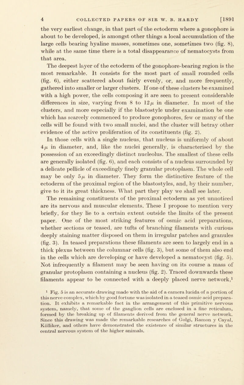 the very earliest change, in that part of the ectoderm where a gonophore is about to be developed, is amongst other things a local accumulation of the large cells bearing hyaline masses, sometimes one, sometimes two (fig. 8), while at the same time there is a total disappearance of nematocysts from that area. The deepest layer of the ectoderm of the gonophore-bearing region is the most remarkable. It consists for the most part of small rounded cells (fig. 6), either scattered about fairly evenly, or, and more frequently, gathered into smaller or larger clusters. If one of these clusters be examined with a high power, the cells composing it are seen to present considerable differences in size, varying from 8 to 12/x in diameter. In most of the clusters, and more especially if the blastostyle under examination be one which has scarcely commenced to produce gonophores, few or many of the cells will be found with two small nuclei, and the cluster will betray other evidence of the active proliferation of its constituents (fig. 2). In those cells with a single nucleus, that nucleus is uniformly of about 4/x in diameter, and, like the nuclei generally, is characterised by the possession of an exceedingly distinct nucleolus. The smallest of these cells are generally isolated (fig. 6), and each consists of a nucleus surrounded by a delicate pellicle of exceedingly finely granular protoplasm. The whole cell may be only 5y in diameter. They form the distinctive feature of the ectoderm of the proximal region of the blastostyles, and, by their number, give to it its great thickness. What part they play we shall see later. The remaining constituents of the proximal ectoderm as yet unnoticed are its nervous and muscular elements. These I propose to mention very briefly, for they lie to a certain extent outside the limits of the present paper. One of the most striking features of osmic acid preparations, whether sections or teased, are tufts of branching filaments with curious deeply staining matter disposed on them in irregular patches and granules (fig. 3). In teased preparations these filaments are seen to largely end in a thick plexus between the columnar cells (fig. 3), but some of them also end in the cells which are developing or have developed a nematocyst (fig. 5). Not infrequently a filament may be seen having on its course a mass of granular protoplasm containing a nucleus (fig. 2). Traced downwards these filaments appear to be connected with a deeply placed nerve network,1 1 Fig. 5 is an accurate drawing made with the aid of a camera lucida of a portion of this nerve complex, which by good fortune was isolated in a teased osmic acid prepara¬ tion. It exhibits a remarkable fact in the arrangement of this primitive nervous system, namely, that some of the ganglion cells are enclosed in a fine reticulum, formed by the breaking up of filaments derived from the general nerve network. Since this drawing was made the remarkable researches of Golgi, Ramon y Cayal, Kolliker, and others have demonstrated the existence of similar structures in the central nervous system of the higher animals.