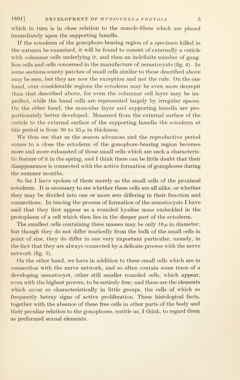 which in turn is in close relation to the muscle-fibres which are placed immediately upon the supporting lamella. If the ectoderm of the gonophore-bearing region of a specimen killed in the autumn be examined, it will be found to consist of externally a cuticle with columnar cells underlying it, and then an indefinite number of gang¬ lion cells and cells concerned in the manufacture of nematocysts (fig. 4). In some sections scanty patches of small cells similar to those described above may be seen, but they are now the exception and not the rule. On the one hand, over considerable regions the ectoderm may be even more decrepit than that described above, for even the columnar cell layer may be im¬ perfect, while the basal cells are represented largely by irregular spaces. On the other hand, the muscular layer and supporting lamella are pro¬ portionately better developed. Measured from the external surface of the cuticle to the external surface of the supporting lamella the ectoderm at this period is from 30 to 35 y in thickness. We thus see that as the season advances and the reproductive period comes to a close the ectoderm of the gonophore-bearing region becomes more and more exhausted of those small cells which are such a characteris¬ tic feature of it in the spring, and I think there can be little doubt that their disappearance is connected with the active formation of gonophores during the summer months. So far I have spoken of them merely as the small cells of the proximal ectoderm. It is necessary to see whether these cells are all alike, or whether they may be divided into one or more sets differing in their function and connections. In tracing the process of formation of the nematocysts I have said that they first appear as a rounded hyaline mass embedded in the protoplasm of a cell which then lies in the deeper part of the ectoderm. The smallest cells containing these masses may be only 10y in diameter; but though they do not differ markedly from the bulk of the small cells in point of size, they do differ in one very important particular, namely, in the fact that they are always connected by a delicate process with the nerve network (fig. 5). On the other hand, we have in addition to these small cells which are in connection with the nerve network, and so often contain some trace of a developing nematocyst, other still smaller rounded cells, which appear, even with the highest powers, to be entirely free; and these are the elements which occur so characteristically in little groups, the cells of which so frequently betray signs of active proliferation. These histological facts, together with the absence of these free cells in other parts of the body and their peculiar relation to the gonophores, entitle us, I think, to regard them as preformed sexual elements.