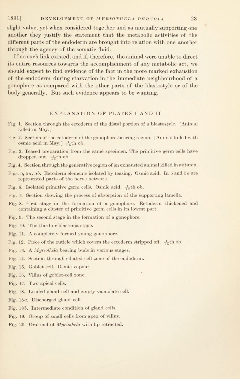 slight value, yet when considered together and as mutually supporting one another they justify the statement that the metabolic activities of the different parts of the endoderm are brought into relation with one another through the agency of the somatic fluid. If no such link existed, and if, therefore, the animal were unable to direct its entire resources towards the accomplishment of any metabolic act, we should expect to find evidence of the fact in the more marked exhaustion of the endoderm during starvation in the immediate neighbourhood of a gonophore as compared with the other parts of the blastostyle or of the body generally. But such evidence appears to be wanting. EXPLANATION OF PLATES I AND II Fig. 1. Section through the ectoderm of the distal portion of a blastostyle. [Animal killed in May.] Fig. 2. Section of the ectoderm of the gonophore-bearing region. [Animal killed with osmic acid in May.] jLth ob. Fig. 3. Teased preparation from the same specimen. The primitive germ cells have dropped out. —gth ob. Fig. 4. Section through the generative region of an exhausted animal killed in autumn. Figs. 5, 5 a, 5b. Ectoderm elements isolated by teasing. Osmic acid. In 5 and 5a are represented parts of the nerve network. Fig. 6. Isolated primitive germ cells. Osmic acid. -Lth ob. Fig. 7. Section showing the process of absorption of the supporting lamella. Fig. 8. First stage in the formation of a gonophore. Ectoderm thickened and containing a cluster of primitive germ cells in its lowest part. Fig. 9. The second stage in the formation of a gonophore. Fig. 10. The third or blastema stage. Fig. 11. A completely formed young gonophore. Fig. 12. Piece of the cuticle which covers the ectoderm stripped off. Dgth ob. Fig. 13. A Myriothela bearing buds in various stages. Fig. 14. Section through ciliated cell zone of the endoderm. Fig. 15. Goblet cell. Osmic vapour. « Fig. 16. Villus of goblet-cell zone. Fig. 17. Two apical cells. Fig. 18. Loaded gland cell and empty vacuolate cell. Fig. 18 a. Discharged gland cell. Fig. 185. Intermediate condition of gland cells. Fig. 19. Group of small cells from apex of villus. Fig. 20. Oral end of Myriothela with lip retracted.