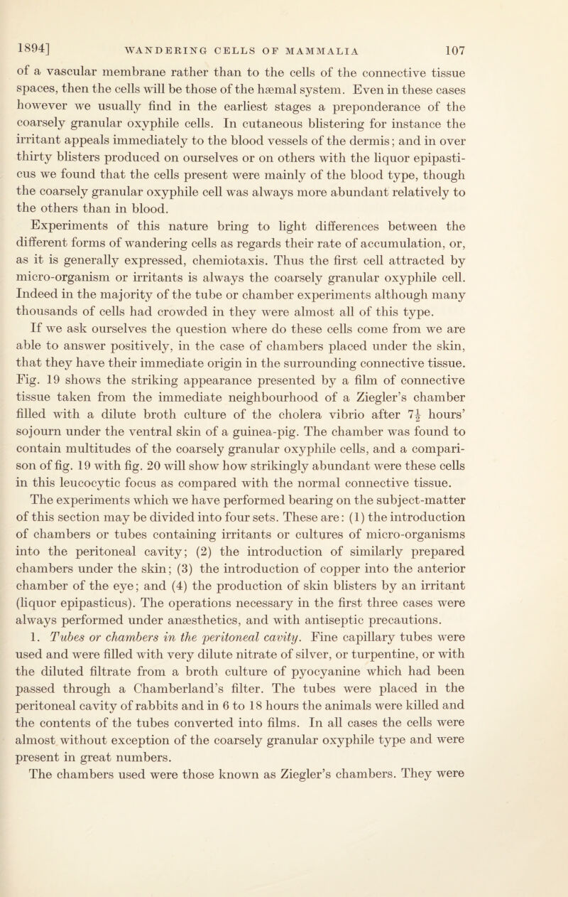 of a vascular membrane rather than to the cells of the connective tissue spaces, then the cells will be those of the haemal system. Even in these cases however we usually find in the earliest stages a preponderance of the coarsely granular oxvphile cells. In cutaneous blistering for instance the irritant appeals immediately to the blood vessels of the dermis; and in over thirty blisters produced on ourselves or on others with the liquor epipasti- cus we found that the cells present were mainly of the blood type, though the coarsely granular oxyphile cell was always more abundant relatively to the others than in blood. Experiments of this nature bring to light differences between the different forms of wandering cells as regards their rate of accumulation, or, as it is generally expressed, chemiotaxis. Thus the first cell attracted by micro-organism or irritants is always the coarsely granular oxyphile cell. Indeed in the majority of the tube or chamber experiments although many thousands of cells had crowded in they were almost all of this type. If we ask ourselves the question where do these cells come from we are able to answer positively, in the case of chambers placed under the skin, that they have their immediate origin in the surrounding connective tissue. Fig. 19 shows the striking appearance presented by a film of connective tissue taken from the immediate neighbourhood of a Ziegler’s chamber filled with a dilute broth culture of the cholera vibrio after 7J hours’ sojourn under the ventral skin of a guinea-pig. The chamber was found to contain multitudes of the coarsely granular oxyphile cells, and a compari¬ son of fig. 19 with fig. 20 will show how strikingly abundant were these cells in this leucocytic focus as compared with the normal connective tissue. The experiments which we have performed bearing on the subject-matter of this section may be divided into four sets. These are: (1) the introduction of chambers or tubes containing irritants or cultures of micro-organisms into the peritoneal cavity; (2) the introduction of similarly prepared chambers under the skin; (3) the introduction of copper into the anterior chamber of the eye; and (4) the production of skin blisters by an irritant (liquor epipasticus). The operations necessary in the first three cases were always performed under anaesthetics, and with antiseptic precautions. 1. Tubes or chambers in the peritoneal cavity. Fine capillary tubes were used and were filled with very dilute nitrate of silver, or turpentine, or with the diluted filtrate from a broth culture of pyocyanine which had been passed through a Chamberland’s filter. The tubes were placed in the peritoneal cavity of rabbits and in 6 to 18 hours the animals were killed and the contents of the tubes converted into films. In all cases the cells were almost without exception of the coarsely granular oxyphile type and were present in great numbers. The chambers used were those known as Ziegler’s chambers. They were