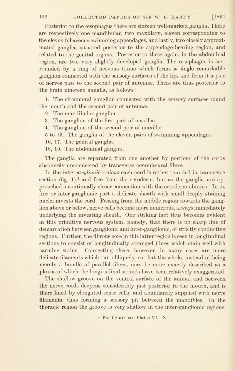 Posterior to the oesophagus there are sixteen well-marked ganglia. These are respectively one mandibular, two maxillary, eleven corresponding to the eleven foliaceous swimming appendages, and lastly, two closely approxi¬ mated ganglia, situated posterior to the appendage-bearing region, and related to the genital organs. Posterior to these again, in the abdominal region, are two very slightly developed ganglia. The oesophagus is sur¬ rounded by a ring of nervous tissue which forms a single remarkable ganglion connected with the sensory surfaces of the lips and from it a pair of nerves pass to the second pair of antennae. There are thus posterior to the brain nineteen ganglia, as follows: 1. The circumoral ganglion connected with the sensory surfaces round the mouth and the second pair of antennae. 2. The mandibular ganglion. 3. The ganglion of the first pair of maxillae. 4. The ganglion of the second pair of maxillae. 5 to 15. The ganglia of the eleven pairs of swimming appendages. 16, 17. The genital ganglia. 18, 19. The abdominal ganglia. The ganglia are separated from one another by portions of the cords absolutely unconnected by transverse commissural fibres. In the inter-ganglionic regions each cord is rather rounded in transverse section (fig. I),1 and free from the ectoderm, but as the ganglia are ap¬ proached a continually closer connection with the ectoderm obtains. In its free or inter-ganglionic part a delicate sheath with small deeply staining nuclei invests the cord. Passing from the middle region towards the gang¬ lion above or below, nerve cells become more numerous, always immediately underlying the investing sheath. One striking fact thus becomes evident in this primitive nervous system, namely, that there is no sharp line of demarcation between ganglionic and inter-ganglionic, or strictly conducting regions. Further, the fibrous core in this latter region is seen in longitudinal sections to consist of longitudinally arranged fibres which stain well with carmine stains. Connecting these, however, in many cases are more delicate filaments which run obliquely, so that the whole, instead of being merely a bundle of parallel fibres, may be more exactly described as a plexus of which the longitudinal strands have been relatively exaggerated. The shallow groove on the ventral surface of the animal and between the nerve cords deepens considerably just posterior to the mouth, and is there lined by elongated sense cells, and abundantly supplied with nerve filaments, thus forming a sensory pit between the mandibles. In the thoracic region the groove is very shallow in the inter-ganglionic regions, 1 For figures see Plates VX-IX.