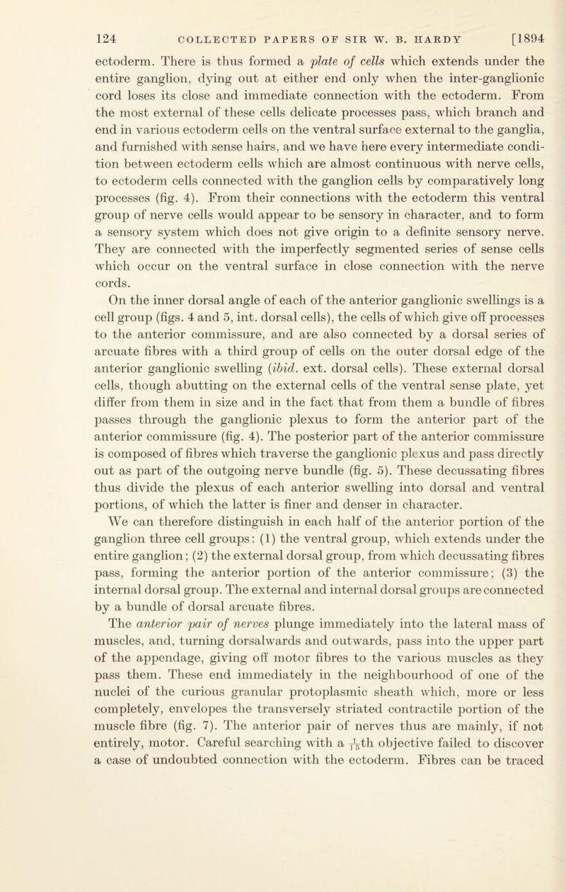 ectoderm. There is thus formed a plate of cells which extends under the entire ganglion, dying out at either end only when the inter-ganglionic cord loses its close and immediate connection with the ectoderm. From the most external of these cells delicate processes pass, which branch and end in various ectoderm cells on the ventral surfa ce external to the ganglia, and furnished with sense hairs, and we have here every intermediate condi¬ tion between ectoderm cells which are almost continuous with nerve cells, to ectoderm cells connected with the ganglion cells by comparatively long processes (fig. 4). From their connections with the ectoderm this ventral group of nerve cells would appear to be sensory in character, and to form a sensory system which does not give origin to a definite sensory nerve. They are connected with the imperfectly segmented series of sense cells which occur on the ventral surface in close connection with the nerve cords. On the inner dorsal angle of each of the anterior ganglionic swellings is a cell group (figs. 4 and 5, int. dorsal cells), the cells of which give off processes to the anterior commissure, and are also connected by a dorsal series of arcuate fibres with a third group of cells on the outer dorsal edge of the anterior ganglionic swelling (ibid. ext. dorsal cells). These external dorsal cells, though abutting on the external cells of the ventral sense plate, yet differ from them in size and in the fact that from them a bundle of fibres passes through the ganglionic plexus to form the anterior part of the anterior commissure (fig. 4). The posterior part of the anterior commissure is composed of fibres which traverse the ganglionic plexus and pass directly out as part of the outgoing nerve bundle (fig. 5). These decussating fibres thus divide the plexus of each anterior swelling into dorsal and ventral portions, of which the latter is finer and denser in character. We can therefore distinguish in each half of the anterior portion of the ganglion three cell groups: (1) the ventral group, which extends under the entire ganglion; (2) the external dorsal group, from which decussating fibres pass, forming the anterior portion of the anterior commissure; (3) the internal dorsal group. The external and internal dorsal groups are connected by a bundle of dorsal arcuate fibres. The anterior pair of nerves plunge immediately into the lateral mass of muscles, and, turning dorsalwards and outwards, pass into the upper part of the appendage, giving off motor fibres to the various muscles as they pass them. These end immediately in the neighbourhood of one of the nuclei of the curious granular protoplasmic sheath which, more or less completely, envelopes the transversely striated contractile portion of the muscle fibre (fig. 7). The anterior pair of nerves thus are mainly, if not entirely, motor. Careful searching with a y^-th objective failed to discover a case of undoubted connection with the ectoderm. Fibres can be traced