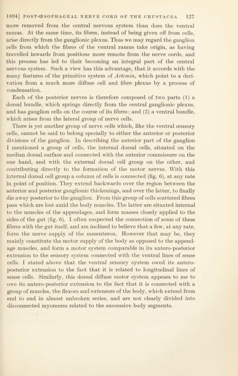 more removed from the central nervous system than does the ventral ramus. At the same time, its fibres, instead of being given off from cells, arise directly from the ganglionic plexus. Thus we may regard the ganglion cells from which the fibres of the ventral ramus take origin, as having- travelled inwards from positions more remote from the nerve cords, and this process has led to their becoming an integral part of the central nervous system. Such a view has this advantage, that it accords with the many features of the primitive system of Artemia, which point to a deri¬ vation from a much more diffuse cell and fibre plexus by a process of condensation. Each of the posterior nerves is therefore composed of two parts (1) a dorsal bundle, which springs directly from the central ganglionic plexus, and has ganglion cells on the course of its fibres; and (2) a ventral bundle, which arises from the lateral group of nerve cells. There is yet another group of nerve cells which, like the ventral sensory cells, cannot be said to belong specially to either the anterior or posterior divisions of the ganglion. In describing the anterior part of the ganglion I mentioned a group of cells, the internal dorsal cells, situated on the median dorsal surface and connected with the anterior commissure on the one hand, and with the external dorsal cell group on the other, and contributing directly to the formation of the motor nerves. With this internal dorsal cell group a column of cells is connected (fig. 6), at any rate in point of position. They extend backwards over the region between the anterior and posterior ganglionic thickenings, and over the latter, to finally die away posterior to the ganglion. From this group of cells scattered fibres pass which are lost amid the body muscles. The latter are situated internal to the muscles of the appendages, and form masses closely applied to the sides of the gut (fig. 6). I often suspected the connection of some of these fibres with the gut itself, and am inclined to believe that a few, at any rate, form the nerve supply of the mesenteron. However that may be, they mainly constitute the motor supply of the body as opposed to the append¬ age muscles, and form a motor system comparable in its antero-posterior extension to the sensory system connected with the ventral lines of sense cells. I stated above that the ventral sensory system owed its antero¬ posterior extension to the fact that it is related to longitudinal lines of sense cells. Similarly, this dorsal diffuse motor system appears to me to owe its antero-posterior extension to the fact that it is connected with a group of muscles, the flexors and extensors of the body, which extend from end to end in almost unbroken series, and are not clearly divided into disconnected myomeres related to the successive body segments.