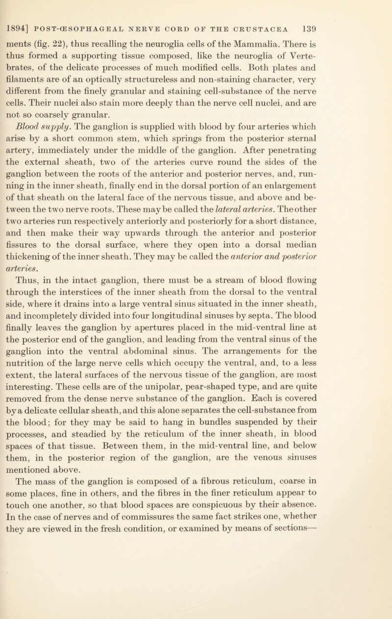 ments (fig. 22), thus recalling the neuroglia cells of the Mammalia. There is thus formed a supporting tissue composed, like the neuroglia of Verte¬ brates, of the delicate processes of much modified cells. Both plates and filaments are of an optically structureless and non-staining character, very different from the finely granular and staining cell-substance of the nerve cells. Their nuclei also stain more deeply than the nerve cell nuclei, and are not so coarsely granular. Blood supply. The ganglion is supplied with blood by four arteries which arise by a short common stem, which springs from the posterior sternal artery, immediately under the middle of the ganglion. After penetrating the external sheath, two of the arteries curve round the sides of the ganglion between the roots of the anterior and posterior nerves, and, run¬ ning in the inner sheath, finally end in the dorsal portion of an enlargement of that sheath on the lateral face of the nervous tissue, and above and be¬ tween the two nerve roots. These maybe called the lateral arteries. The other two arteries run respectively anteriorly and posteriorly for a short distance, and then make their way upwards through the anterior and posterior fissures to the dorsal surface, where they open into a dorsal median thickening of the inner sheath. They may be called the anterior and posterior arteries. Thus, in the intact ganglion, there must be a stream of blood flowing through the interstices of the inner sheath from the dorsal to the ventral side, where it drains into a large ventral sinus situated in the inner sheath, and incompletely divided into four longitudinal sinuses by septa. The blood finally leaves the ganglion by apertures placed in the mid-ventral line at the posterior end of the ganglion, and leading from the ventral sinus of the ganglion into the ventral abdominal sinus. The arrangements for the nutrition of the large nerve cells which occupy the ventral, and, to a less extent, the lateral surfaces of the nervous tissue of the ganglion, are most interesting. These cells are of the unipolar, pear-shaped type, and are quite removed from the dense nerve substance of the ganglion. Each is covered by a delicate cellular sheath, and this alone separates the cell-substance from the blood; for they may be said to hang in bundles suspended by their processes, and steadied by the reticulum of the inner sheath, in blood spaces of that tissue. Between them, in the mid-ventral line, and below them, in the posterior region of the ganglion, are the venous sinuses mentioned above. The mass of the ganglion is composed of a fibrous reticulum, coarse in some places, fine in others, and the fibres in the finer reticulum appear to touch one another, so that blood spaces are conspicuous by their absence. In the case of nerves and of commissures the same fact strikes one, whether they are viewed in the fresh condition, or examined by means of sections—