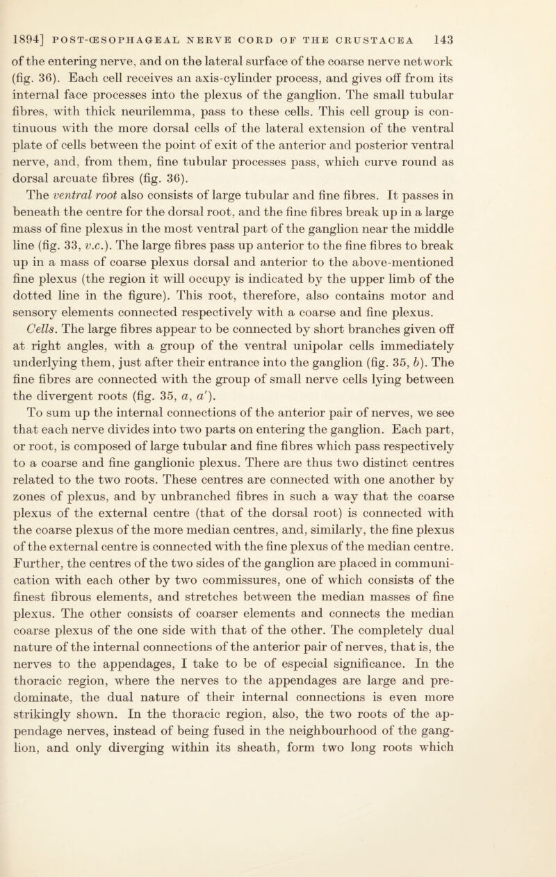 of the entering nerve, and on the lateral surface of the coarse nerve network (fig. 36). Each cell receives an axis-cylinder process, and gives off from its internal face processes into the plexus of the ganglion. The small tubular fibres, with thick neurilemma, pass to these cells. This cell group is con¬ tinuous with the more dorsal cells of the lateral extension of the ventral plate of cells between the point of exit of the anterior and posterior ventral nerve, and, from them, fine tubular processes pass, which curve round as dorsal arcuate fibres (fig. 36). The ventral root also consists of large tubular and fine fibres. It passes in beneath the centre for the dorsal root, and the fine fibres break up in a large mass of fine plexus in the most ventral part of the ganglion near the middle line (fig. 33, v.c.). The large fibres pass up anterior to the fine fibres to break up in a mass of coarse plexus dorsal and anterior to the above-mentioned fine plexus (the region it will occupy is indicated by the upper limb of the dotted line in the figure). This root, therefore, also contains motor and sensory elements connected respectively with a coarse and fine plexus. Cells. The large fibres appear to be connected by short branches given off at right angles, with a group of the ventral unipolar cells immediately underlying them, just after their entrance into the ganglion (fig. 35, b). The fine fibres are connected with the group of small nerve cells lying between the divergent roots (fig. 35, a, a'). To sum up the internal connections of the anterior pair of nerves, we see that each nerve divides into two parts on entering the ganglion. Each part, or root, is composed of large tubular and fine fibres which pass respectively to a coarse and fine ganglionic plexus. There are thus two distinct centres related to the two roots. These centres are connected with one another by zones of plexus, and by unbranched fibres in such a way that the coarse plexus of the external centre (that of the dorsal root) is connected with the coarse plexus of the more median centres, and, similarly, the fine plexus of the external centre is connected with the fine plexus of the median centre. Further, the centres of the two sides of the ganglion are placed in communi¬ cation with each other by two commissures, one of which consists of the finest fibrous elements, and stretches between the median masses of fine plexus. The other consists of coarser elements and connects the median coarse plexus of the one side with that of the other. The completely dual nature of the internal connections of the anterior pair of nerves, that is, the nerves to the appendages, I take to be of especial significance. In the thoracic region, where the nerves to the appendages are large and pre¬ dominate, the dual nature of their internal connections is even more strikingly shown. In the thoracic region, also, the two roots of the ap¬ pendage nerves, instead of being fused in the neighbourhood of the gang¬ lion, and only diverging within its sheath, form two long roots which