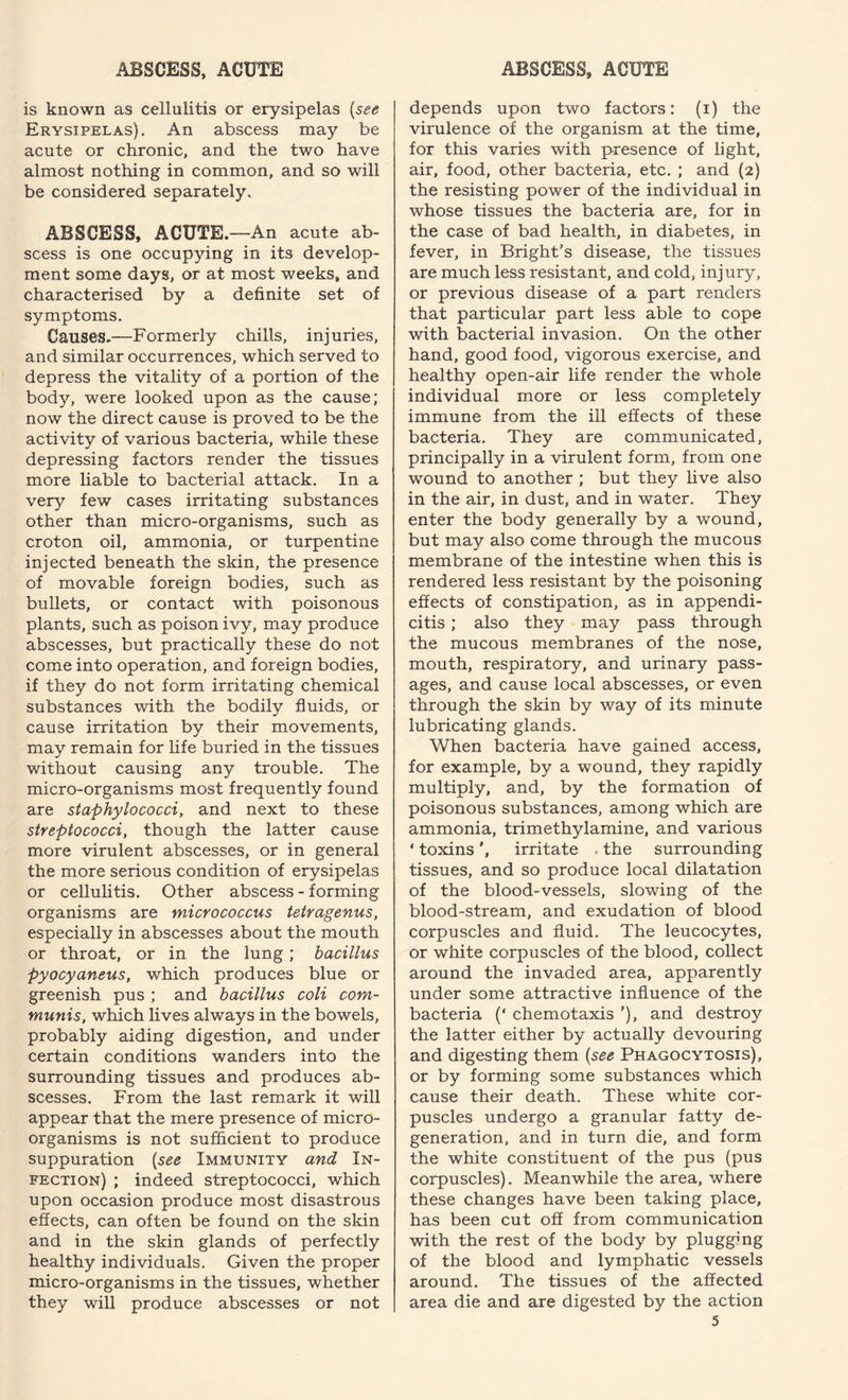 is known as cellulitis or erysipelas (see Erysipelas). An abscess may be acute or chronic, and the two have almost nothing in common, and so will be considered separately. ABSCESS, ACUTE.—An acute ab¬ scess is one occupying in its develop¬ ment some days, or at most weeks, and characterised by a definite set of symptoms. Causes.—Formerly chills, injuries, and similar occurrences, which served to depress the vitality of a portion of the body, were looked upon as the cause; now the direct cause is proved to be the activity of various bacteria, while these depressing factors render the tissues more liable to bacterial attack. In a very few cases irritating substances other than micro-organisms, such as croton oil, ammonia, or turpentine injected beneath the skin, the presence of movable foreign bodies, such as bullets, or contact with poisonous plants, such as poison ivy, may produce abscesses, but practically these do not come into operation, and foreign bodies, if they do not form irritating chemical substances with the bodily fluids, or cause irritation by their movements, may remain for life buried in the tissues without causing any trouble. The micro-organisms most frequently found are staphylococci, and next to these streptococci, though the latter cause more virulent abscesses, or in general the more serious condition of erysipelas or cellulitis. Other abscess - forming organisms are micrococcus tetragenus, especially in abscesses about the mouth or throat, or in the lung; bacillus pyocyaneus, which produces blue or greenish pus ; and bacillus coli com¬ munis, which lives always in the bowels, probably aiding digestion, and under certain conditions wanders into the surrounding tissues and produces ab¬ scesses. From the last remark it will appear that the mere presence of micro¬ organisms is not sufficient to produce suppuration (see Immunity and In¬ fection) ; indeed streptococci, which upon occasion produce most disastrous effects, can often be found on the skin and in the skin glands of perfectly healthy individuals. Given the proper micro-organisms in the tissues, whether they will produce abscesses or not depends upon two factors: (i) the virulence of the organism at the time, for this varies with presence of light, air, food, other bacteria, etc. ; and (2) the resisting power of the individual in whose tissues the bacteria are, for in the case of bad health, in diabetes, in fever, in Bright’s disease, the tissues are much less resistant, and cold, injury, or previous disease of a part renders that particular part less able to cope with bacterial invasion. On the other hand, good food, vigorous exercise, and healthy open-air life render the whole individual more or less completely immune from the ill effects of these bacteria. They are communicated, principally in a virulent form, from one wound to another ; but they live also in the air, in dust, and in water. They enter the body generally by a wound, but may also come through the mucous membrane of the intestine when this is rendered less resistant by the poisoning effects of constipation, as in appendi¬ citis ; also they may pass through the mucous membranes of the nose, mouth, respiratory, and urinary pass¬ ages, and cause local abscesses, or even through the skin by way of its minute lubricating glands. When bacteria have gained access, for example, by a wound, they rapidly multiply, and, by the formation of poisonous substances, among which are ammonia, trimethylamine, and various * toxins', irritate the surrounding tissues, and so produce local dilatation of the blood-vessels, slowing of the blood-stream, and exudation of blood corpuscles and fluid. The leucocytes, or white corpuscles of the blood, collect around the invaded area, apparently under some attractive influence of the bacteria (‘ chemotaxis ’), and destroy the latter either by actually devouring and digesting them (see Phagocytosis), or by forming some substances which cause their death. These white cor¬ puscles undergo a granular fatty de¬ generation, and in turn die, and form the white constituent of the pus (pus corpuscles). Meanwhile the area, where these changes have been taking place, has been cut off from communication with the rest of the body by plugging of the blood and lymphatic vessels around. The tissues of the affected area die and are digested by the action