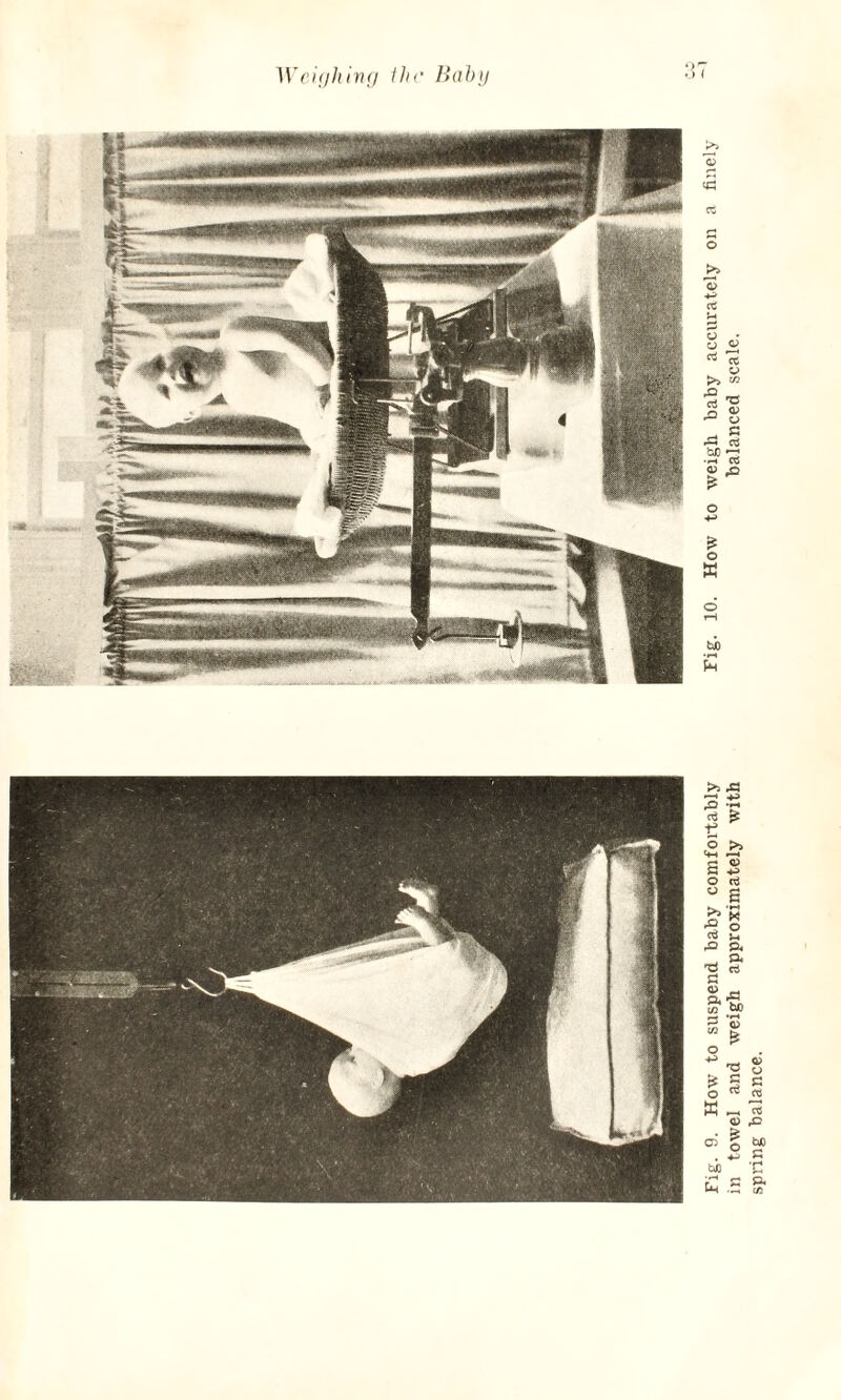 Weighing the Baby spring balance.