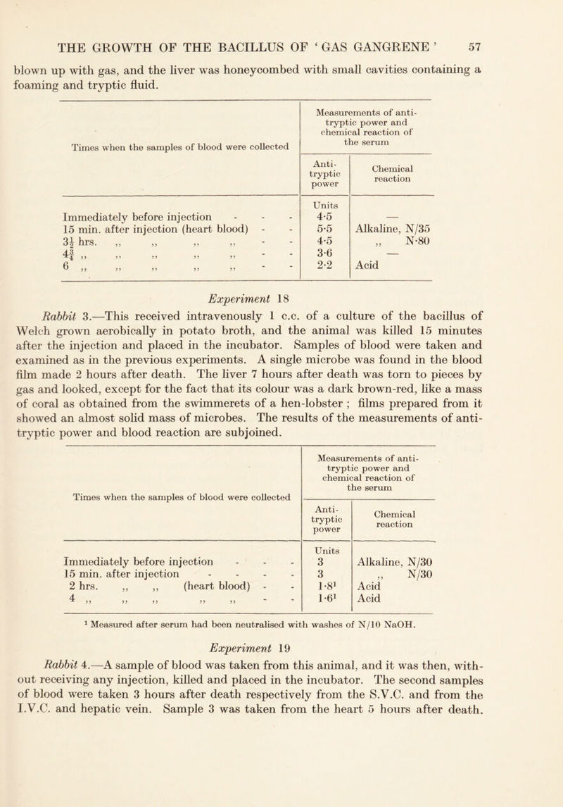 blown up with gas, and the liver was honeycombed with small cavities containing a foaming and tryptic fluid. Times when the samples of blood were collected Measurements of anti- tryptic power and chemical reaction of the serum Anti- tryptic power Chemical reaction Immediately before injection 15 min. after injection (heart blood) 3 ^ hrs. ,, ,, ,, ,, 43 ^4 5 5 5 5 5 5 5 5 5 5 5 ,, 55 55 55 55 Units 4- 5 5- 5 4-5 3-6 2-2 Alkaline, N/35 „ N-80 Acid Experiment 18 Rabbit 3.—This received intravenously 1 c.c. of a culture of the bacillus of Welch grown aerobically in potato broth, and the animal was killed 15 minutes after the injection and placed in the incubator. Samples of blood were taken and examined as in the previous experiments. A single microbe was found in the blood film made 2 hours after death. The liver 7 hours after death was torn to pieces by gas and looked, except for the fact that its colour was a dark brown-red, like a mass of coral as obtained from the swimmerets of a hen-lobster ; films prepared from it showed an almost solid mass of microbes. The results of the measurements of anti- tryptic power and blood reaction are subjoined. Times when the samples of blood were collected Measurements of anti- tryptic power and chemical reaction of the serum Anti- tryptic power Chemical reaction Immediately before injection Units 3 Alkaline, N/30 15 min. after injection - 3 N/30 2 hrs. ,, ,, (heart blood) 1-81 Acid 4 1-61 Acid 1 Measured after serum had been neutralised with washes of N/10 NaOH. Experiment 19 Rabbit 4.—A sample of blood was taken from this animal, and it was then, with¬ out receiving any injection, killed and placed in the incubator. The second samples of blood were taken 3 hours after death respectively from the S.V.C. and from the I.V.C. and hepatic vein. Sample 3 was taken from the heart 5 hours after death.