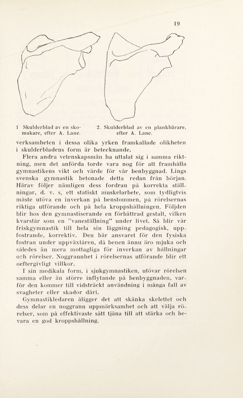 1 Skulderblad av en sko- 2. Skulderblad av en plankbärare, makare, efter A. Lane. efter A. Lane. verksamheten i dessa olika yrken framkallade olikheten i skulderbladens form är betecknande. Flera andra vetenskapsmän ha uttalat sig i samma rikt¬ ning, men det anförda torde vara nog för att framhålla gymnastikens vikt oeh värde för vår benbyggnad. Lings svenska gymnastik betonade detta redan från början. Härav följer nämligen dess fordran på korrekta ställ¬ ningar, d. v. s. ett statiskt muskelarbete, som tydligtvis måste utöva en inverkan på benstommen, på rörelsernas riktiga utförande och på hela kroppshållningen. Följden blir hos den gymnastiserande en förbättrad gestalt, vilken kvarstår som en ”vaneställning” under livet. Så blir vår t friskgymnastik till hela sin läggning pedagogisk, upp¬ fostrande, korrektiv. Den bär ansvaret för den fysiska fostran under uppväxtåren, då benen ännu äro mjuka och således än mera mottagliga för inverkan av hållningar och rörelser. Noggrannhet i rörelsernas utförande blir ett oeftergivligt villkor. f sin medikala form, i sjukgymnastiken, utövar rörelsen samma eller än större inflytande på benbyggnaden, var¬ för den kommer till vidsträckt användning i många fall av svagheter eller skador däri. Gymnastikledaren åligger det att skänka skelettet ocli dess delar en noggrann uppmärksamhet och att välja rö¬ relser, som på effektivaste sätt tjäna till att stärka och be¬ vara en god kroppshållning.