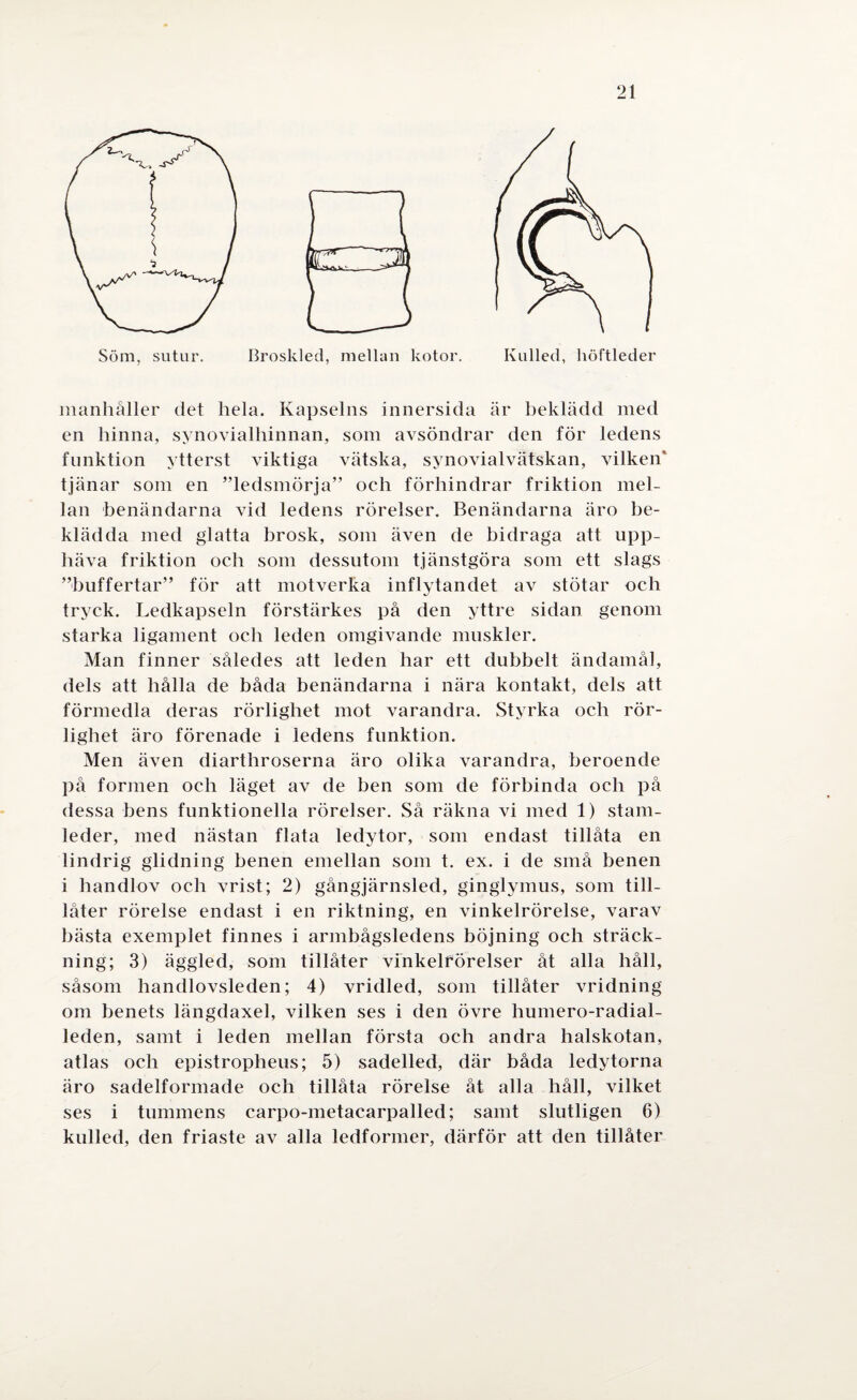 manhåller det hela. Kapselns innersida är beklädd med en hinna, synovialhinnan, som avsöndrar den för ledens funktion ytterst viktiga vätska, synovialvätskan, vilken' tjänar som en ”ledsmörja” och förhindrar friktion mel¬ lan benändarna vid ledens rörelser. Benändarna äro be¬ klädda med glatta brosk, som även de bidraga att upp¬ häva friktion och som dessutom tjänstgöra som ett slags ”buffertar” för att motverka inflytandet av stötar och tryck. Ledkapseln förstärkes på den yttre sidan genom starka ligament och leden omgivande muskler. Man finner således att leden har ett dubbelt ändamål, dels att hålla de båda benändarna i nära kontakt, dels att förmedla deras rörlighet mot varandra. Styrka och rör¬ lighet äro förenade i ledens funktion. Men även diarthroserna äro olika varandra, beroende på formen och läget av de ben som de förbinda och på dessa bens funktionella rörelser. Så räkna vi med 1) stam¬ leder, med nästan flata ledytor, som endast tillåta en lindrig glidning benen emellan som t. ex. i de små benen i handlov och vrist; 2) gångjärnsled, ginglymus, som till¬ låter rörelse endast i en riktning, en vinkelrörelse, varav bästa exemplet finnes i armbågsledens böjning och sträck¬ ning; 3) äggled, som tillåter vinkelförelser åt alla håll, såsom handlovsleden; 4) vridled, som tillåter vridning om benets längdaxel, vilken ses i den övre humero-radial- leden, samt i leden mellan första och andra halskotan, atlas och epistropheus; 5) sadelled, där båda ledytorna äro sadelformade och tillåta rörelse åt alla håll, vilket ses i tummens carpo-metacarpalled; samt slutligen 6) kulled, den friaste av alla ledformer, därför att den tillåter