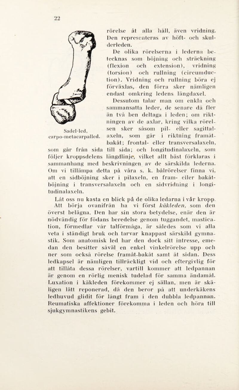 99 rörelse åt alla liåll, även vridning. Den representeras av höft- och skul¬ derleden. De olika rörelserna i lederna be¬ tecknas som böjning och sträckning (flexion och extension), vridning (torsion) och rullning (circumduc- tion). Vridning och rullning böra ej förväxlas, den förra sker nämligen endast omkring ledens längdaxel. Dessutom talar man om enkla och sammansatta leder, de senare då fler än två ben deltaga i leden; om rikt¬ ningen av de axlar, kring vilka rörel¬ sen sker såsom pil- eller sagittal- axeln, som går i riktning framåt- bakåt; frontal- eller transversalaxeln, som går från sida till sida; och longitudinalaxeln, som följer kroppsdelens längdlinje, vilket allt bäst förklaras i sammanhang med beskrivningen av de särskilda lederna. Om vi tillämpa detta på våra s. k. bålrörelser finna vi, att en sidböjning sker i pilaxeln, en fram- eller bakåt- böjning i transversalaxeln och en sidvridning i longi¬ tudinalaxeln. Sadel-led, carpo-metacarpalled. Låt oss nu kasta en blick på de olika ledarna i vår kropp. Att börja ovanifrån ha vi först käkleden, som den överst belägna. Den har sin stora betydelse, enär den är nödvändig för födans beredelse genom tuggandet, mastica- tion, förmedlar vår talförmåga, är således som vi alla veta i ständigt bruk och tarvar knappast särskild gymna¬ stik. Som anatomisk led har den dock sitt intresse, eme¬ dan den besitter såväl en enkel vinkelrörelse upp och ner som också rörelse framåt-bakåt samt åt sidan. Dess ledkapsel är nämligen tillräckligt vid och eftergivlig för att tillåta dessa rörelser, vartill kommer att ledpannan är genom en rörlig menisk tudelad för samma ändamål. Luxation i käkleden förekommer ej sällan, men är skä¬ ligen lätt reponerad, då den heror på att underkäkens ledhuvud glidit för långt fram i den dubbla ledpannan. Reumatiska affektioner förekomma i leden och höra till sjukgymnastikens gebit.