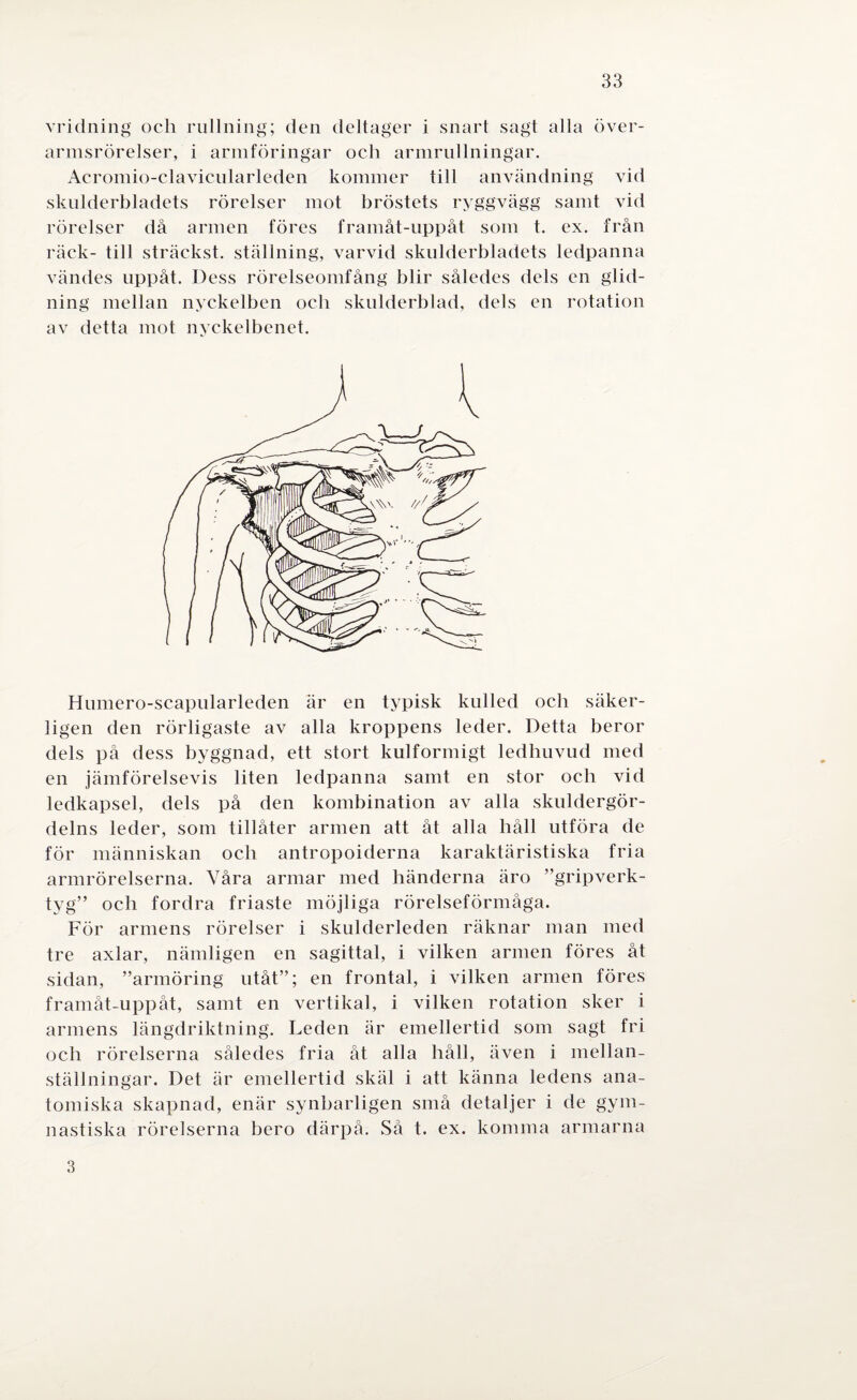vridning och rullning; den deltager i snart sagt alla över- armsrörelser, i armföringar och armrullningar. Acromio-clavicularleden kommer till användning vid skulderbladets rörelser mot bröstets ryggvägg samt vid rörelser då armen föres framåt-uppåt som t. ex. från räck- till sträckst. ställning, varvid skulderbladets ledpanna vändes uppåt. Dess rörelseomfång blir således dels en glid¬ ning mellan nyckelben och skulderblad, dels en rotation av detta mot nyckelbenet. Humero-scapularleden är en typisk kulled och säker¬ ligen den rörligaste av alla kroppens leder. Detta beror dels på dess byggnad, ett stort kulformigt ledhuvud med en jämförelsevis liten ledpanna samt en stor och vid ledkapsel, dels på den kombination av alla skuldergör- delns leder, som tillåter armen att åt alla håll utföra de för människan och antropoiderna karaktäristiska fria armrörelserna. Våra armar med händerna äro ”gripverk- tyg” och fordra friaste möjliga rörelseförmåga. För armens rörelser i skulderleden räknar man med tre axlar, nämligen en sagittal, i vilken armen föres åt sidan, ”armöring utåt”; en frontal, i vilken armen föres framåt-uppåt, samt en vertikal, i vilken rotation sker i armens längdriktning. Leden är emellertid som sagt fri och rörelserna således fria åt alla håll, även i mellan¬ ställningar. Det är emellertid skäl i att känna ledens ana¬ tomiska skapnad, enär synbarligen små detaljer i de gym¬ nastiska rörelserna bero därpå. Så t. ex. komma armarna 3