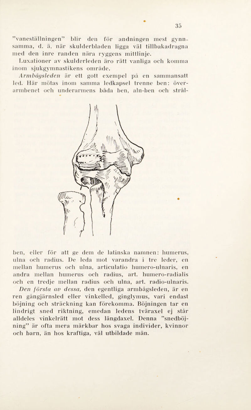”vaneställningen” blir den för andningen mest gynn¬ samma, d. ä. när skulderbladen ligga väl tillbakadragna med den inre randen nära ryggens mittlinje. Luxationer av skulderleden äro rätt vanliga och komma inom sjukgymnastikens område. Armbågsleden är ett gott exempel på en sammansatt led. Här mötas inom samma ledkapsel trenne ben: över¬ armbenet oeh underarmens båda ben, aln-ben oeh strål- ben, eller för att ge dem de latinska namnen: humerus, ulna och radius. De leda mot varandra i tre leder, en mellan humerus och ulna, articulatio humero-ulnaris, en andra mellan humerus och radius, art. humero-radialis och en tredje mellan radius och ulna, art. radio-ulnaris. Den första av dessa, den egentliga armbågsleden, är en ren gångjärnsled eller vinkelled, ginglymus, vari endast böjning och sträckning kan förekomma. Böjningen tar en lindrigt sned riktning, emedan ledens tväraxel ej står alldeles vinkelrätt mot dess längdaxel. Denna ”snedböj¬ ning” är ofta mera märkbar hos svaga individer, kvinnor och barn, än hos kraftiga, väl utbildade män.
