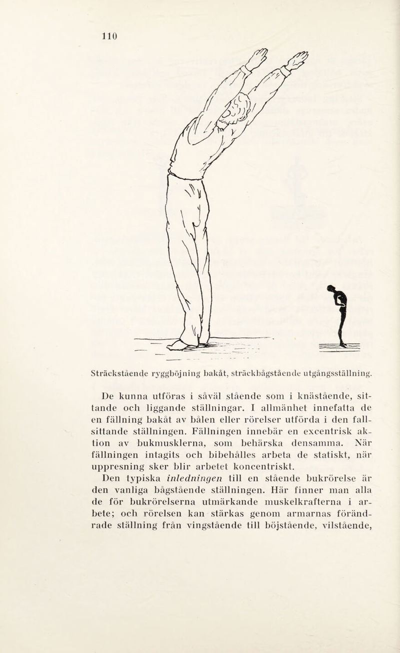 Sträckstående ryggböjning' bakåt, sträckbågstående utgångsställning. De kunna utföras i såväl stående som i knästående, sit¬ tande och liggande ställningar. I allmänhet innefatta de en fällning bakåt av bålen eller rörelser utförda i den fall¬ sittande ställningen. Fällningen innebär en excentrisk ak¬ tion av bukmusklerna, som behärska densamma. När fällningen intagits och bibehålies arbeta de statiskt, när uppresning sker blir arbetet koncentriskt. Den typiska inledningen till en stående bukrörelse är den vanliga bågstående ställningen. Här finner man alla de för bukrörelserna utmärkande muskelkrafterna i ar¬ bete; och rörelsen kan stärkas genom armarnas föränd¬ rade ställning från vingstående till böjstående, vilstående,