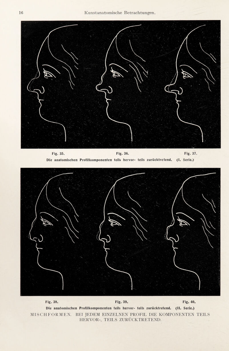 Fig. 35. Fig. 36. Fig. 37. Die anatomischen Profilkomponenters teils hervor- teils zurücktretend. (1. Serie.) Fig. 38. Fig. 39. Fig. 40. Die anatomischen Profilkomponenten teils hervor- teils zurücktretend. (II. Serie.) MISCH FORMEN. BEI JEDEM EINZELNEN PROFIL DIE KOMPONENTEN TEILS HERVOR-, TEILS ZURÜCKTRETEND.