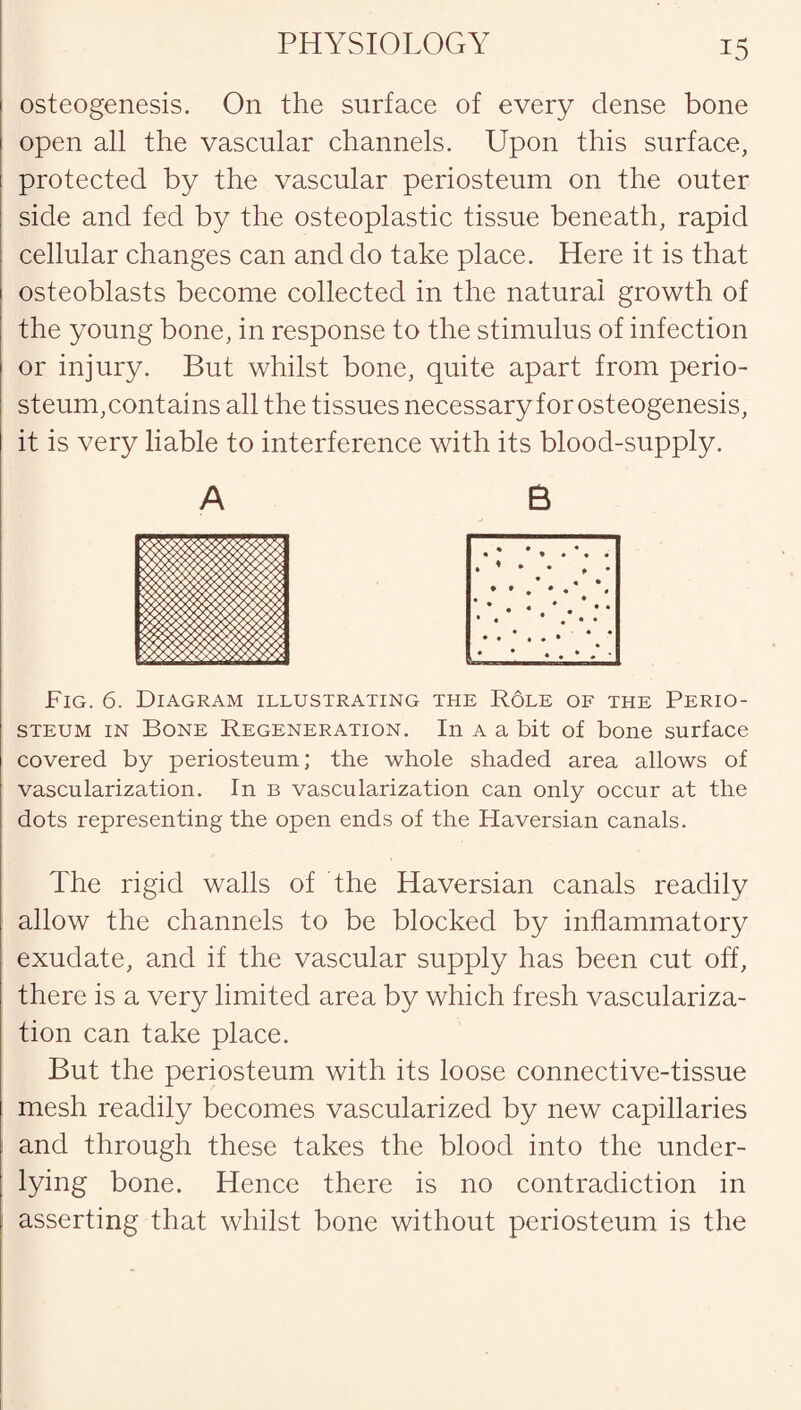 PHYSIOLOGY osteogenesis. On the surface of every dense bone open all the vascular channels. Upon this surface, protected by the vascular periosteum on the outer side and fed by the osteoplastic tissue beneath, rapid cellular changes can and do take place. Here it is that osteoblasts become collected in the natural growth of the young bone, in response to the stimulus of infection or injury. But whilst bone, quite apart from perio¬ steum,contains all the tissues necessary for osteogenesis, it is very liable to interference with its blood-supply. A B Fig. 6. Diagram illustrating the Role of the Perio¬ steum in Bone Regeneration. In a a bit of bone surface covered by periosteum; the whole shaded area allows of vascularization. In b vascularization can only occur at the dots representing the open ends of the Haversian canals. The rigid walls of the Haversian canals readily allow the channels to be blocked by inflammatory exudate, and if the vascular supply has been cut off, there is a very limited area by which fresh vasculariza¬ tion can take place. But the periosteum with its loose connective-tissue mesh readily becomes vascularized by new capillaries and through these takes the blood into the under¬ lying bone. Hence there is no contradiction in asserting that whilst bone without periosteum is the